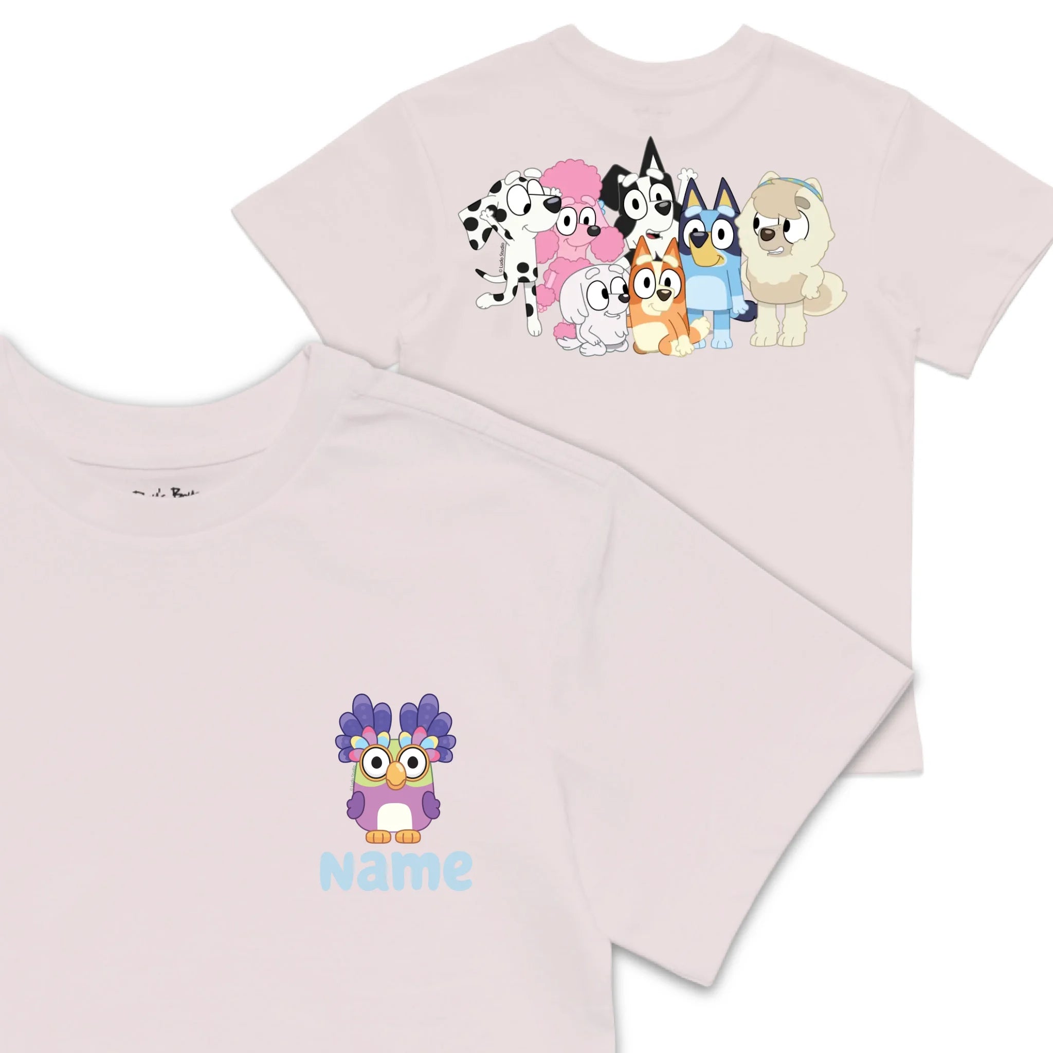 Roys Boys Pink T-Shirt Imagery_0008_Older Kids front back