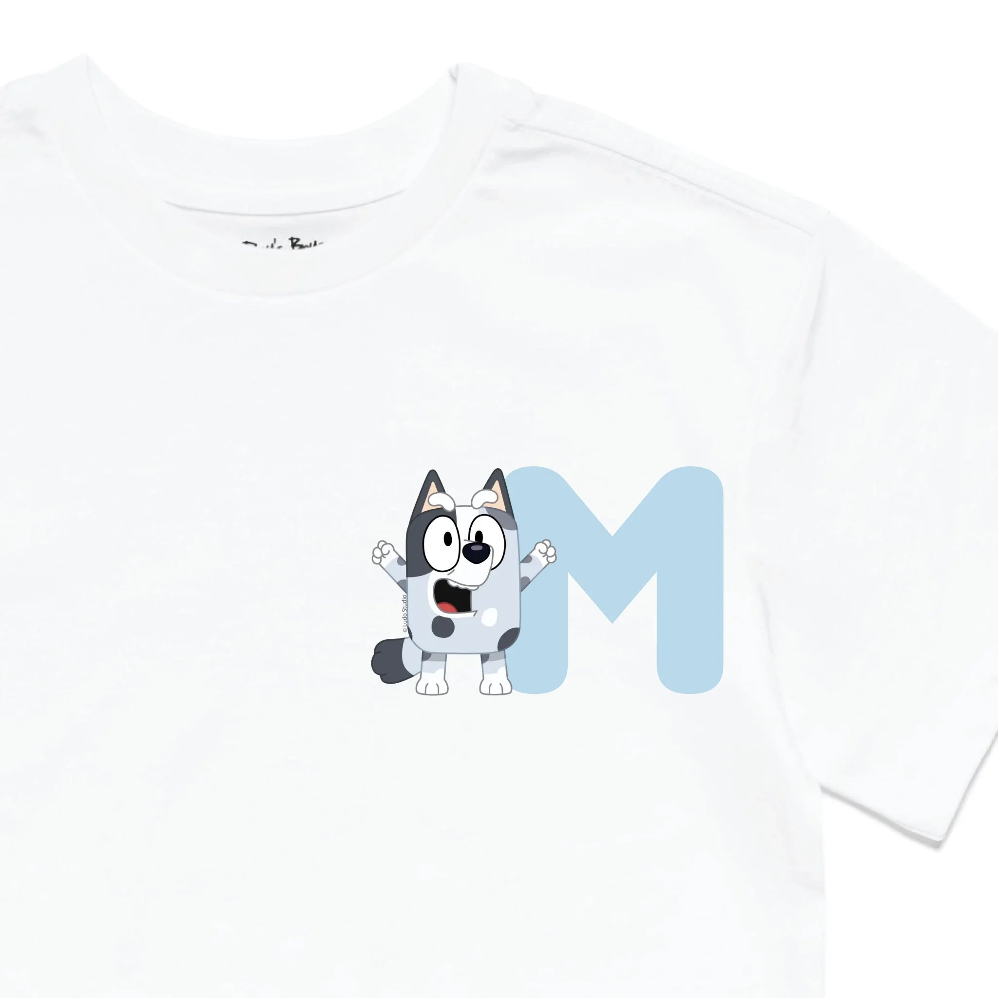 Roys Boys White T-Shirt Imagery_0010_Older Kids Front Zoomed In-01