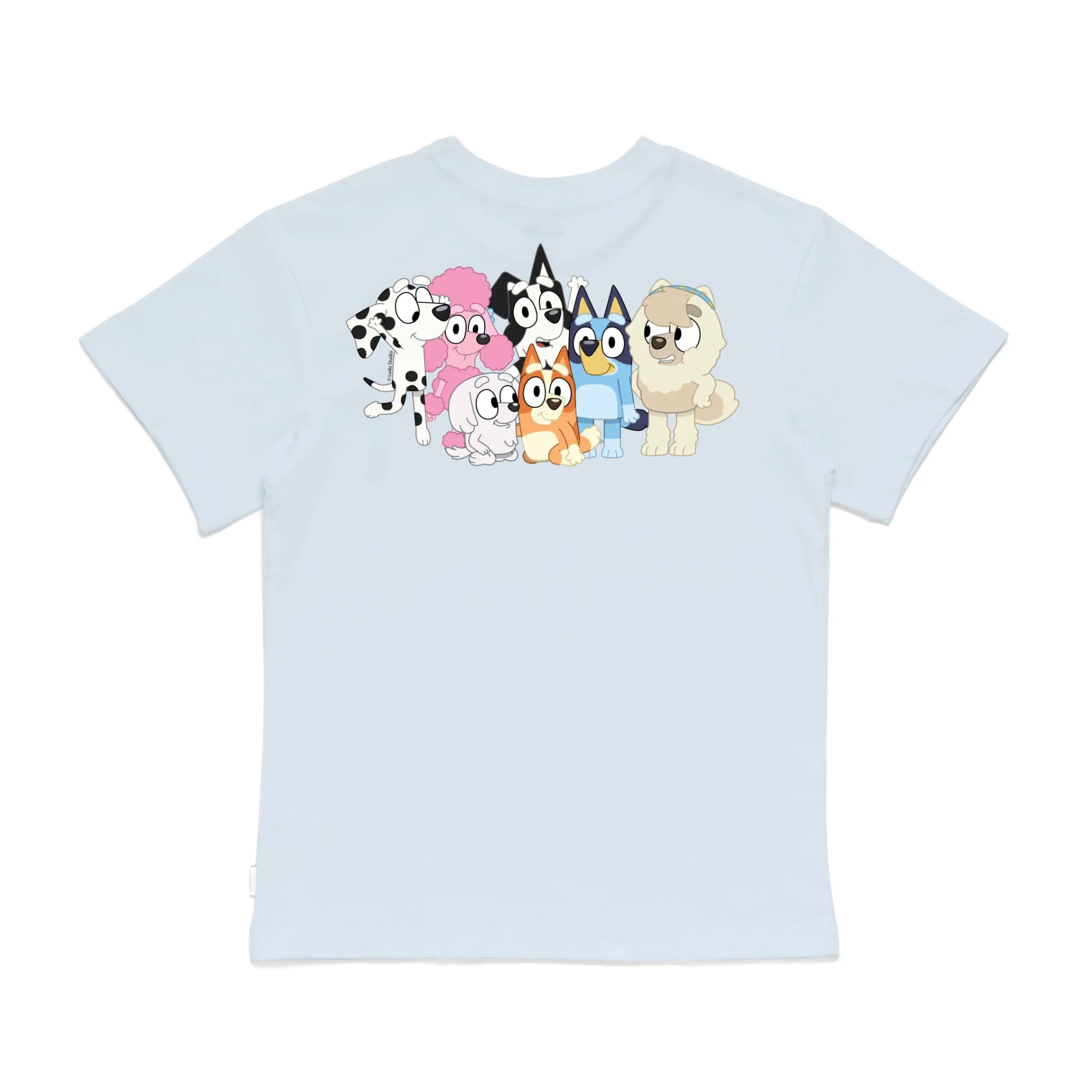 Roys Boys Bue T-Shirt Imagery_0008_Older Kids Back