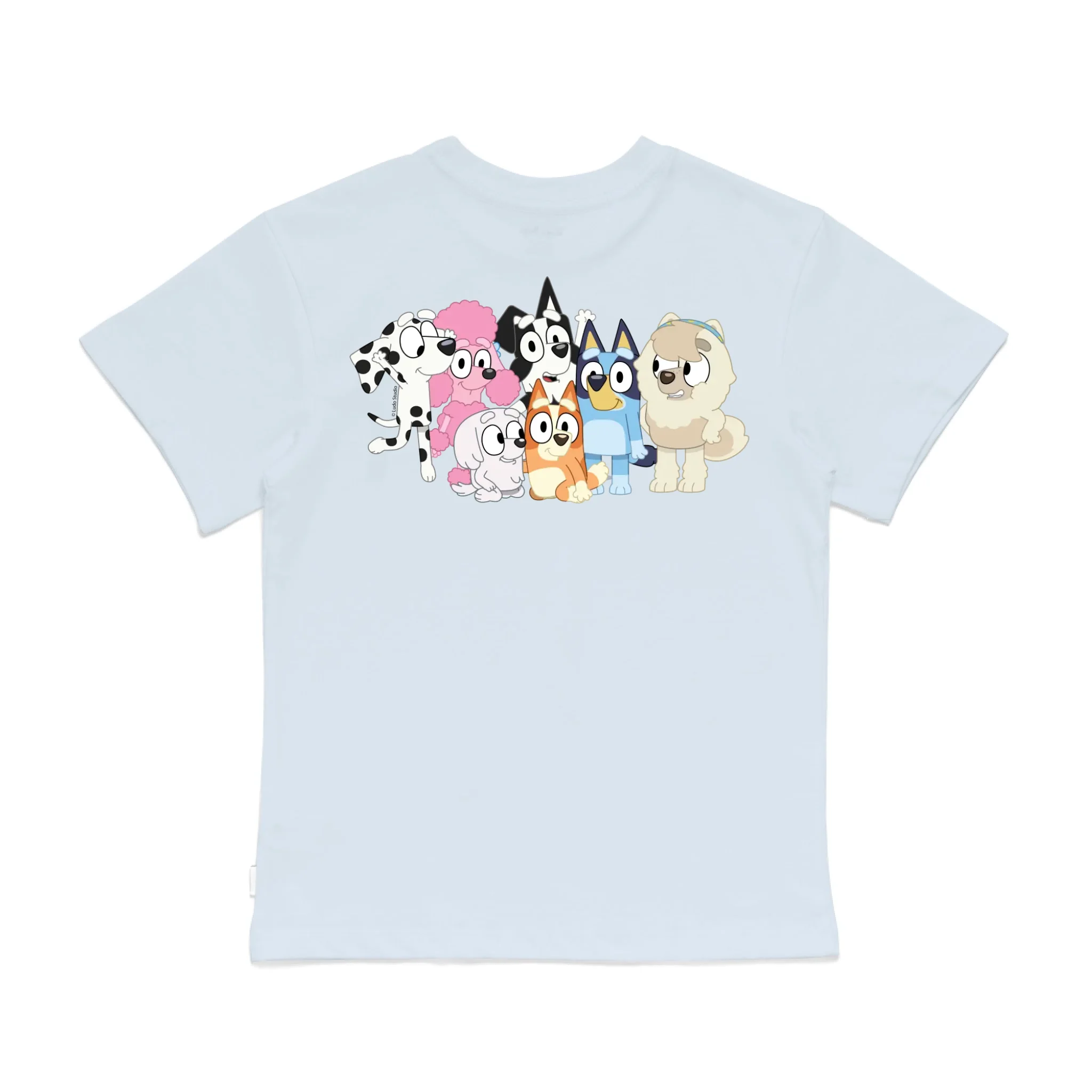 Roys Boys Bue T-Shirt Imagery_0008_Older Kids Back