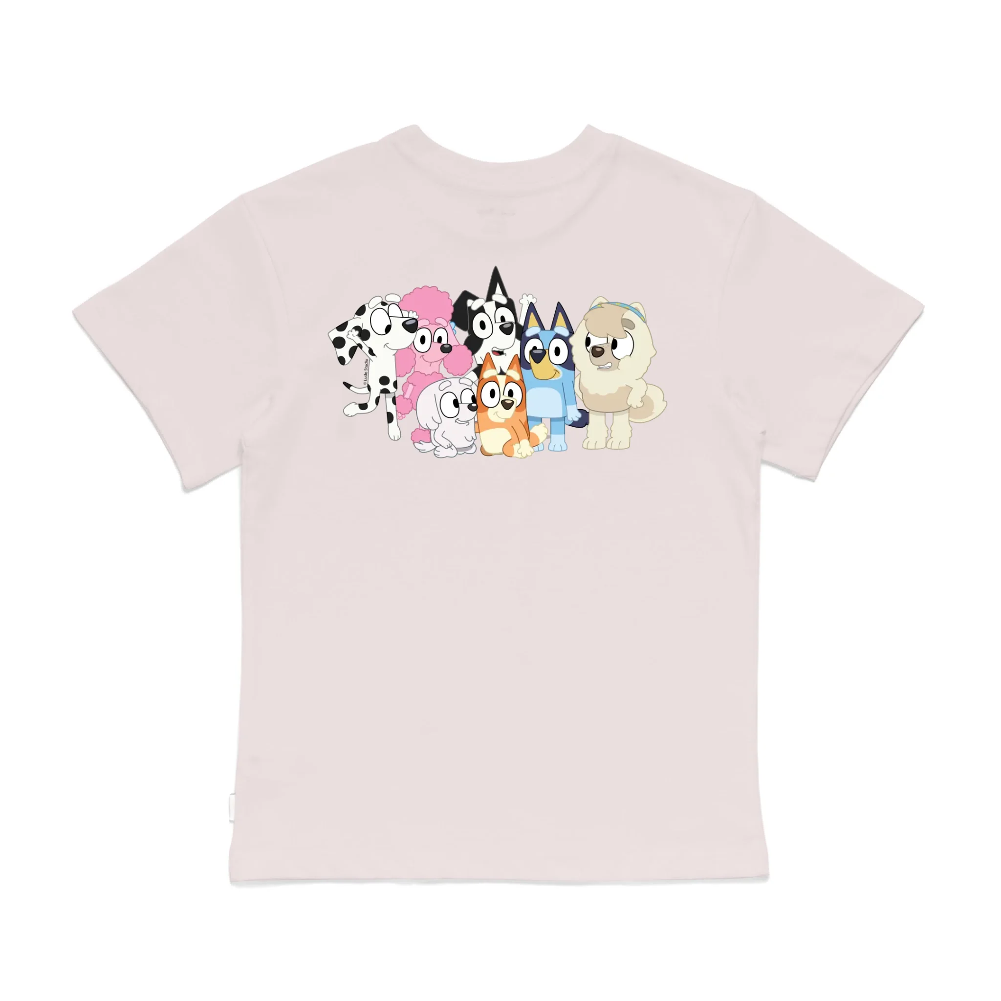 Roys Boys Pink T-Shirt Imagery_0008_Older Kids Back