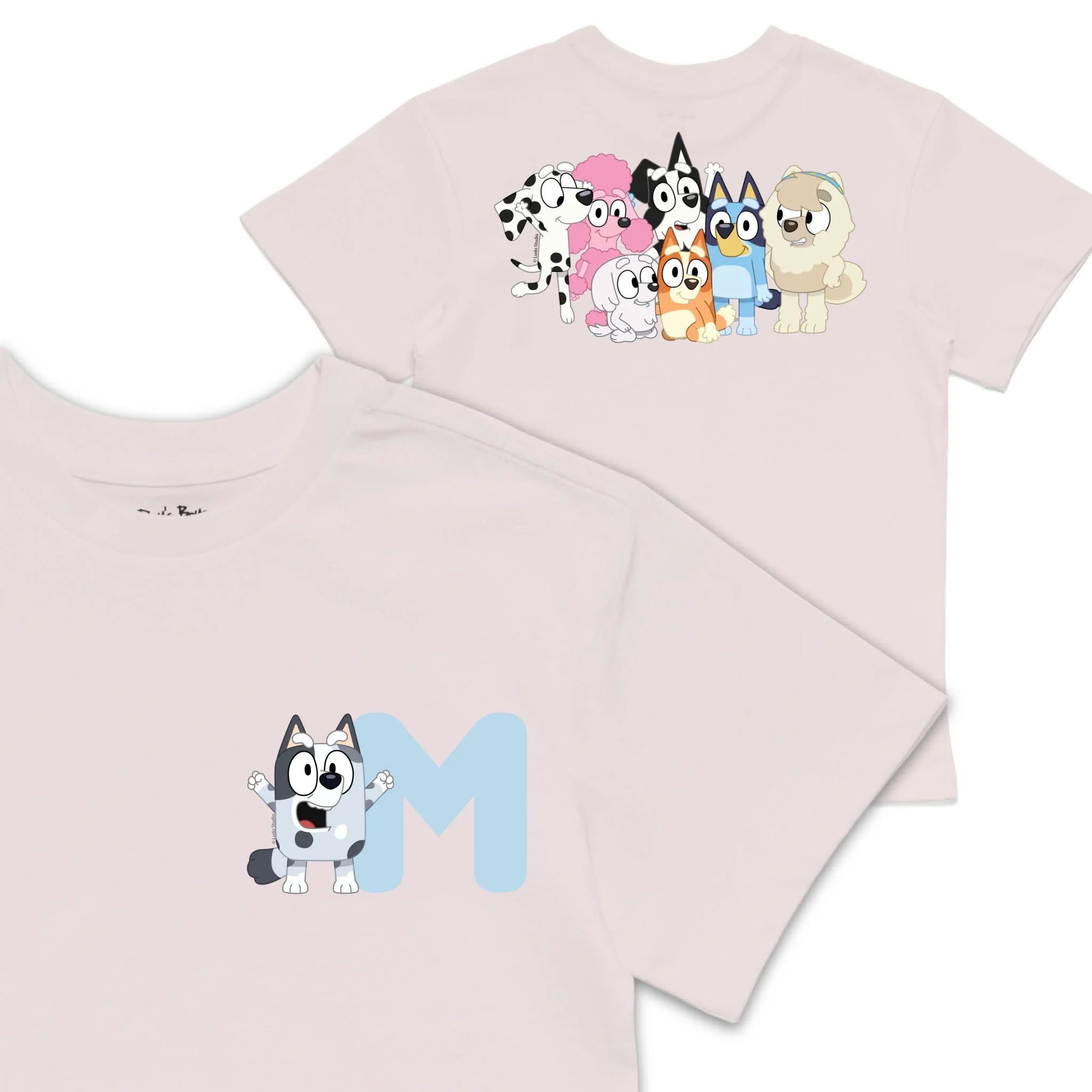 Roys Boys Pink T-Shirt Imagery_0008_Older Kids front back