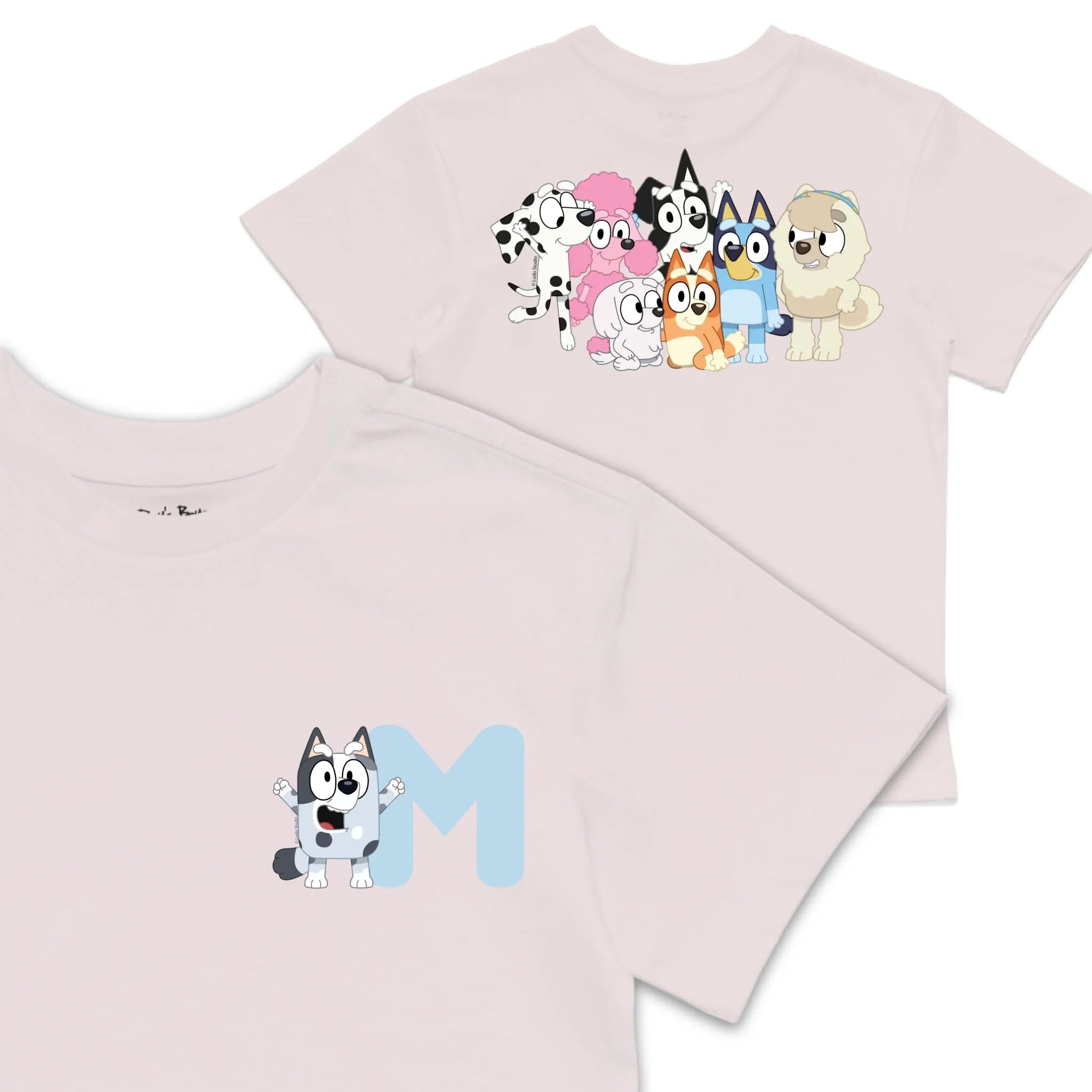 Roys Boys Pink T-Shirt Imagery_0008_Older Kids front back