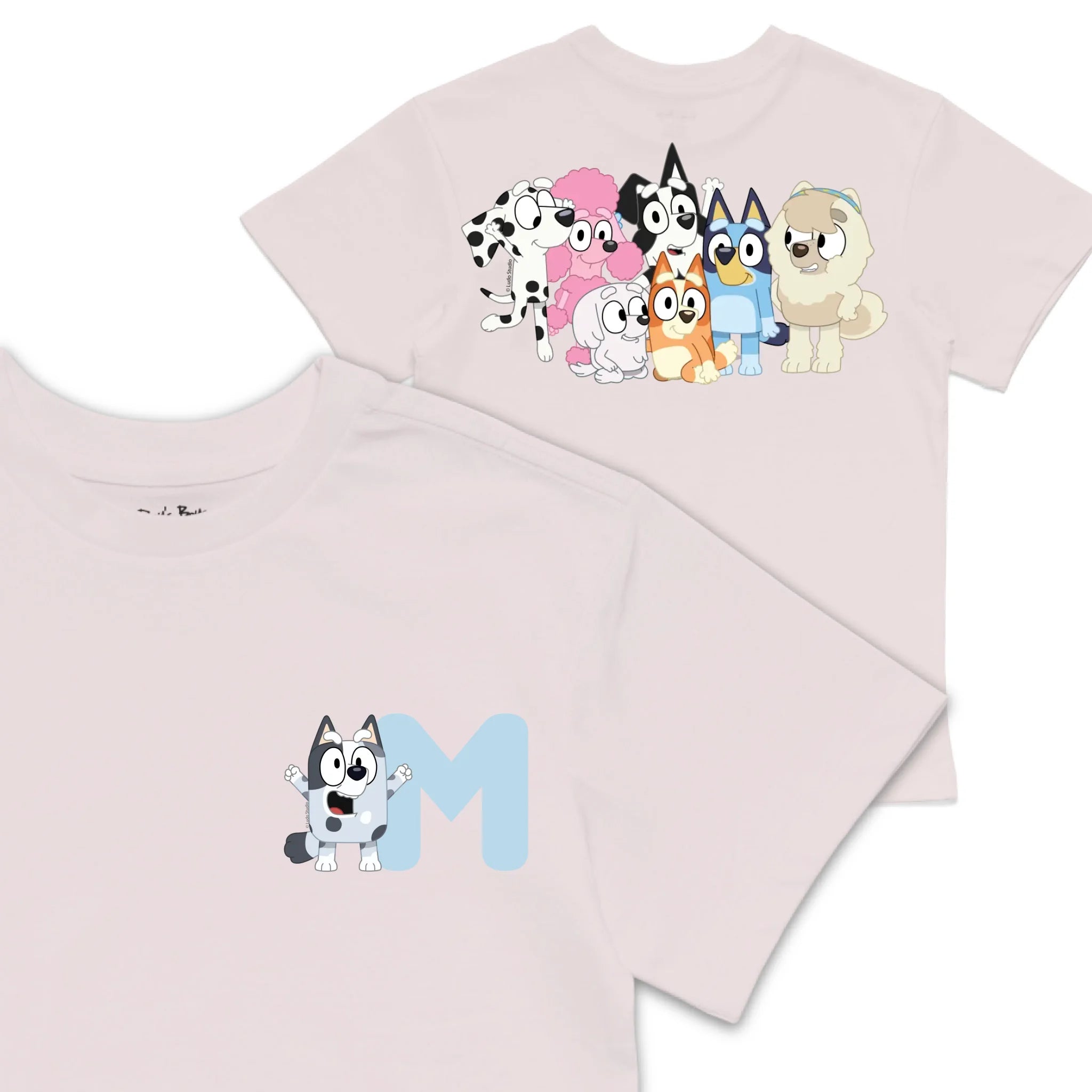 Roys Boys Pink T-Shirt Imagery_0008_Older Kids front back