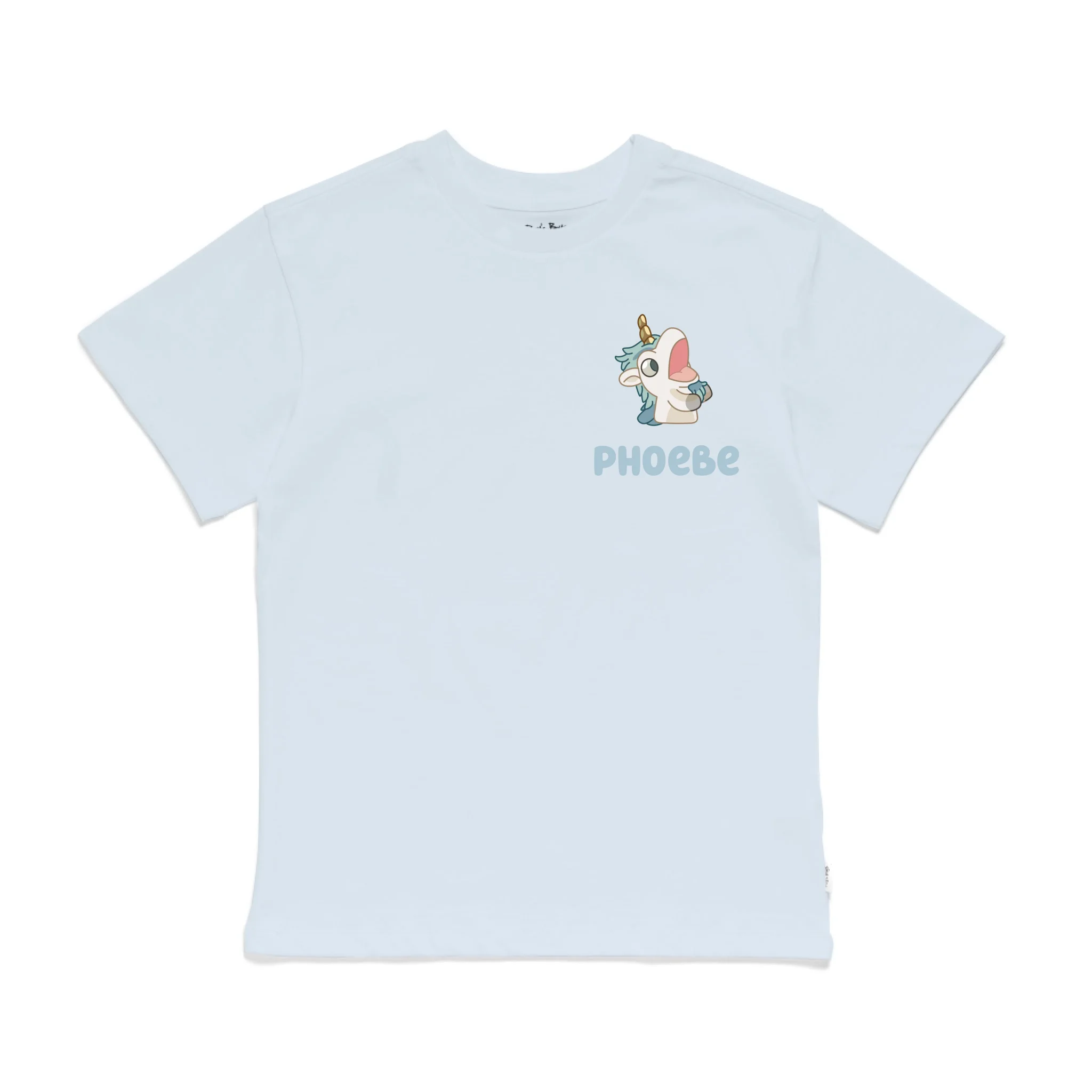 Roys Boys Blue T-Shirt Imagery_0009_Older Kids Front