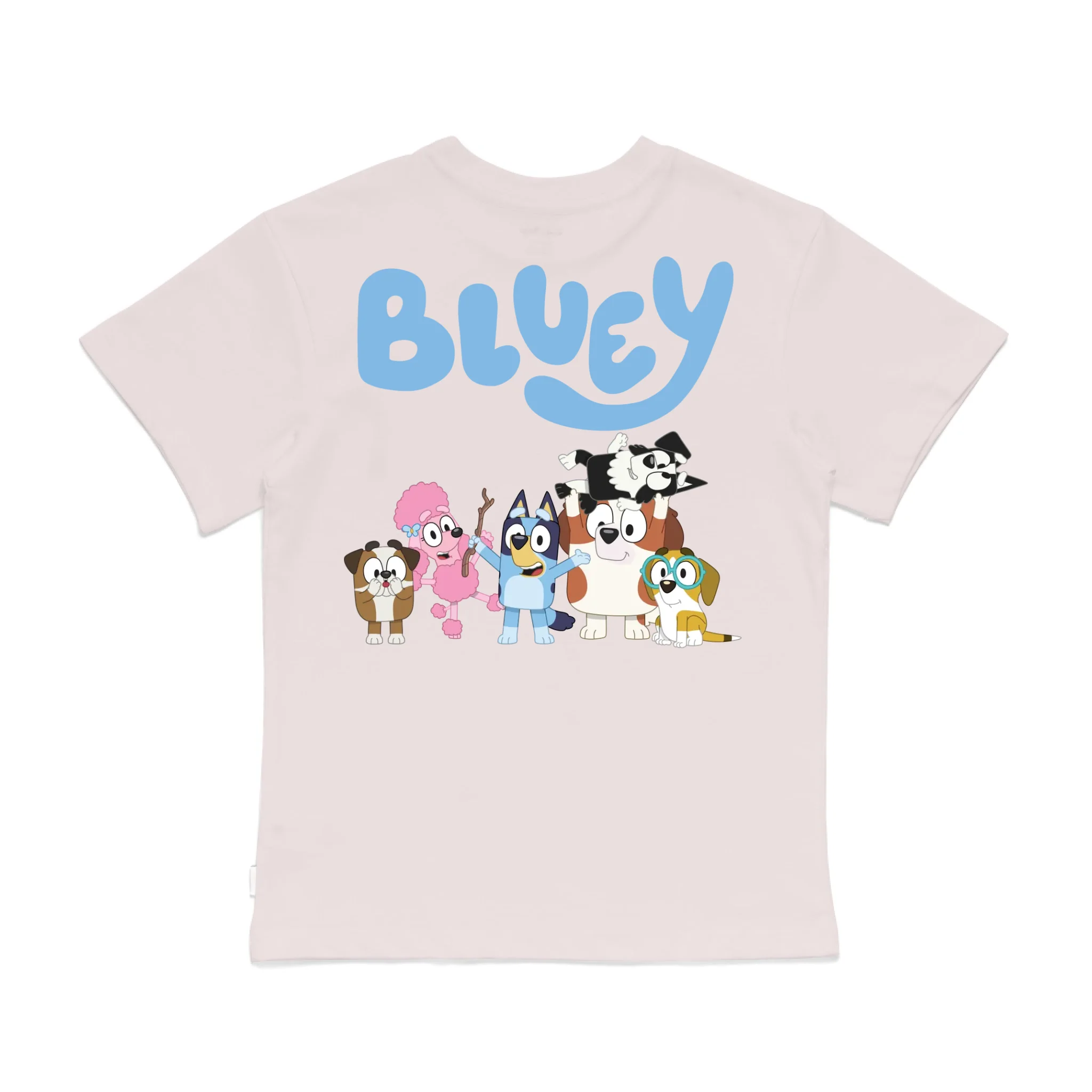 Roys Boys Pink T-Shirt Imagery_0008_Older Kids Back