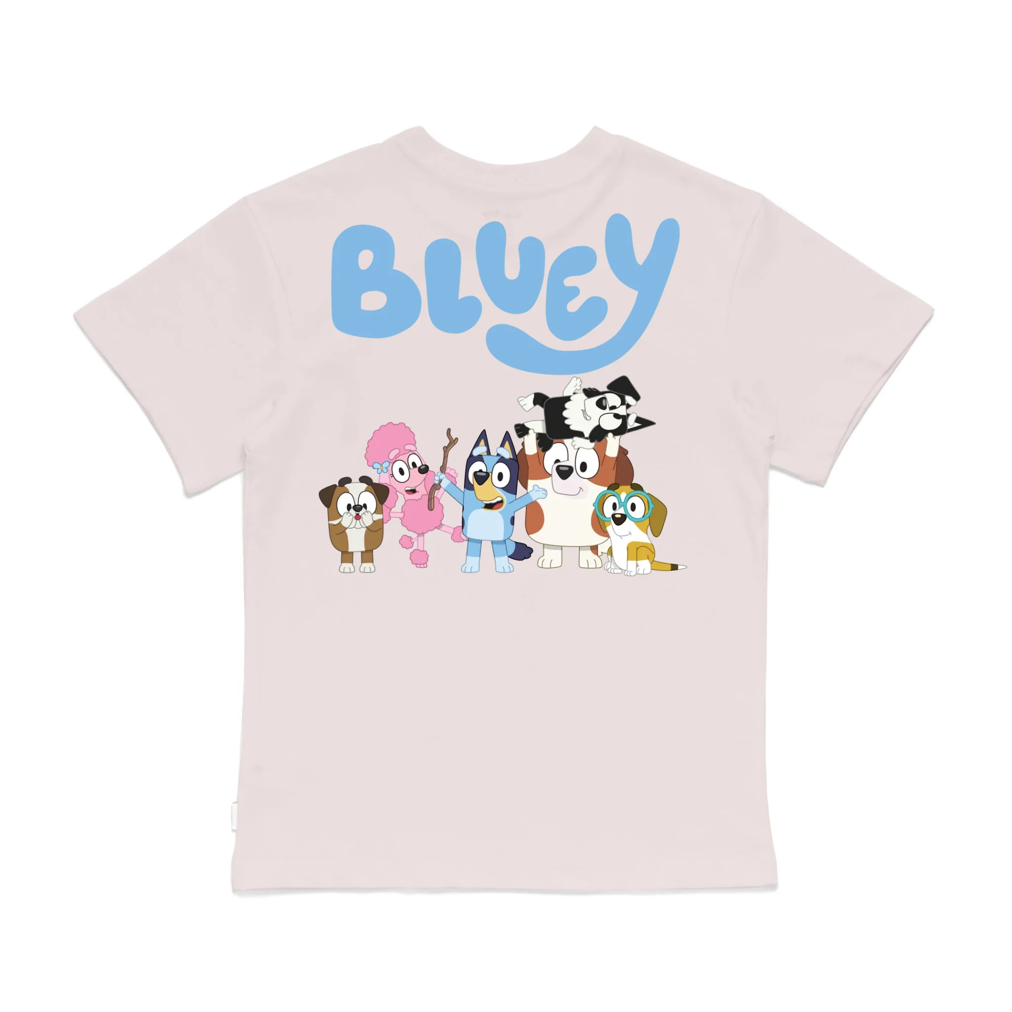 Roys Boys Pink T-Shirt Imagery_0008_Older Kids Back
