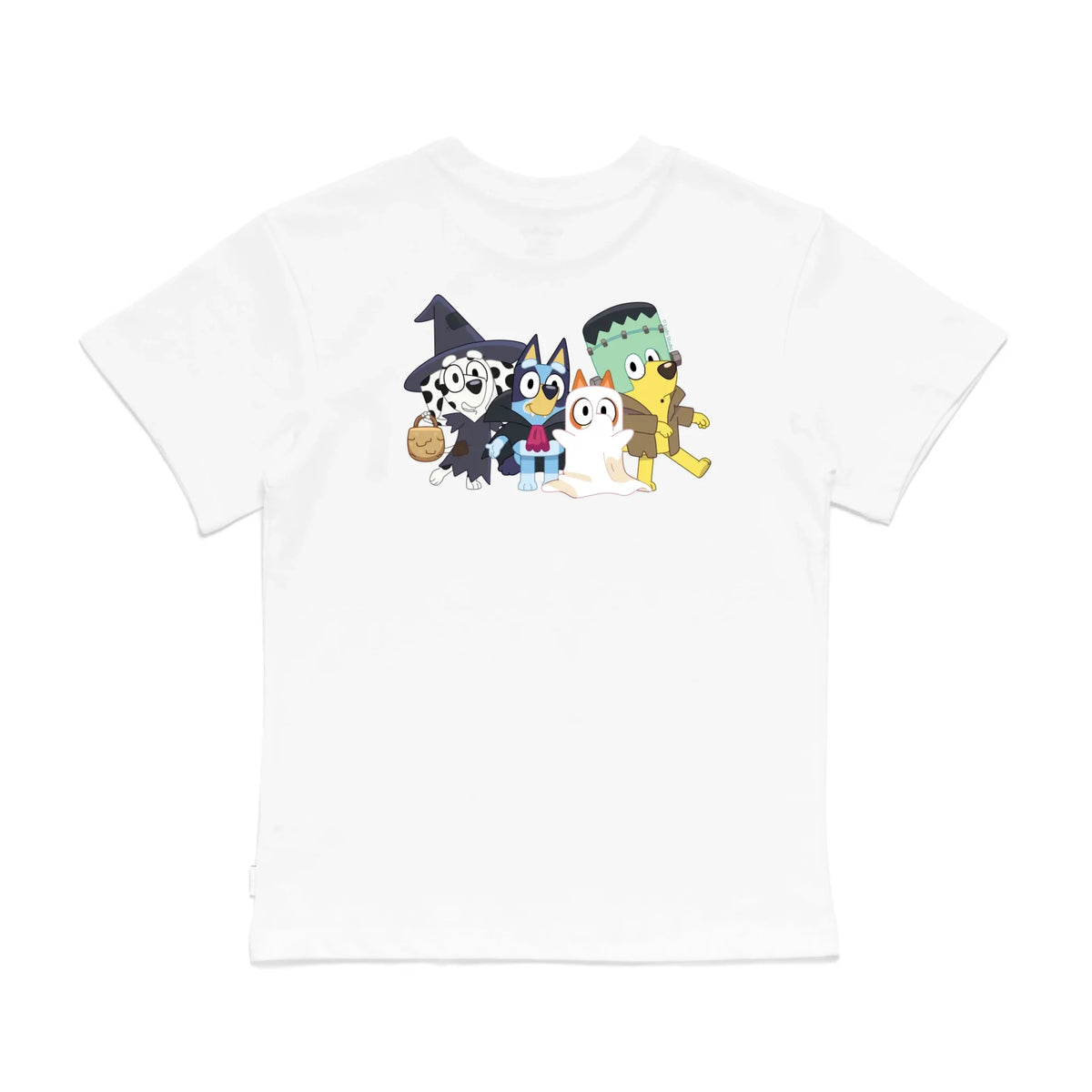 Roys Boys White T-Shirt Imagery_0008_Older Kids Back