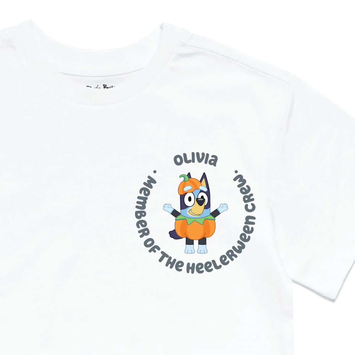 Roys Boys White T-Shirt Imagery_0010_Older Kids Front Zoomed In-01