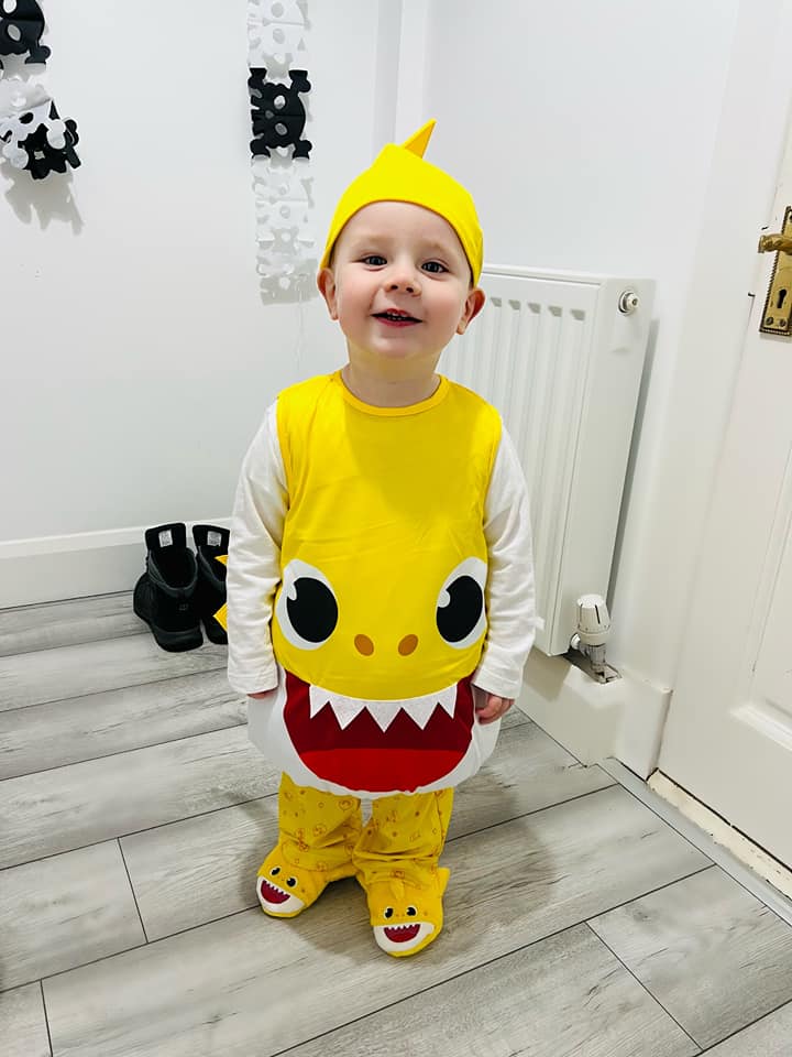 Baby Shark Slipper Socks