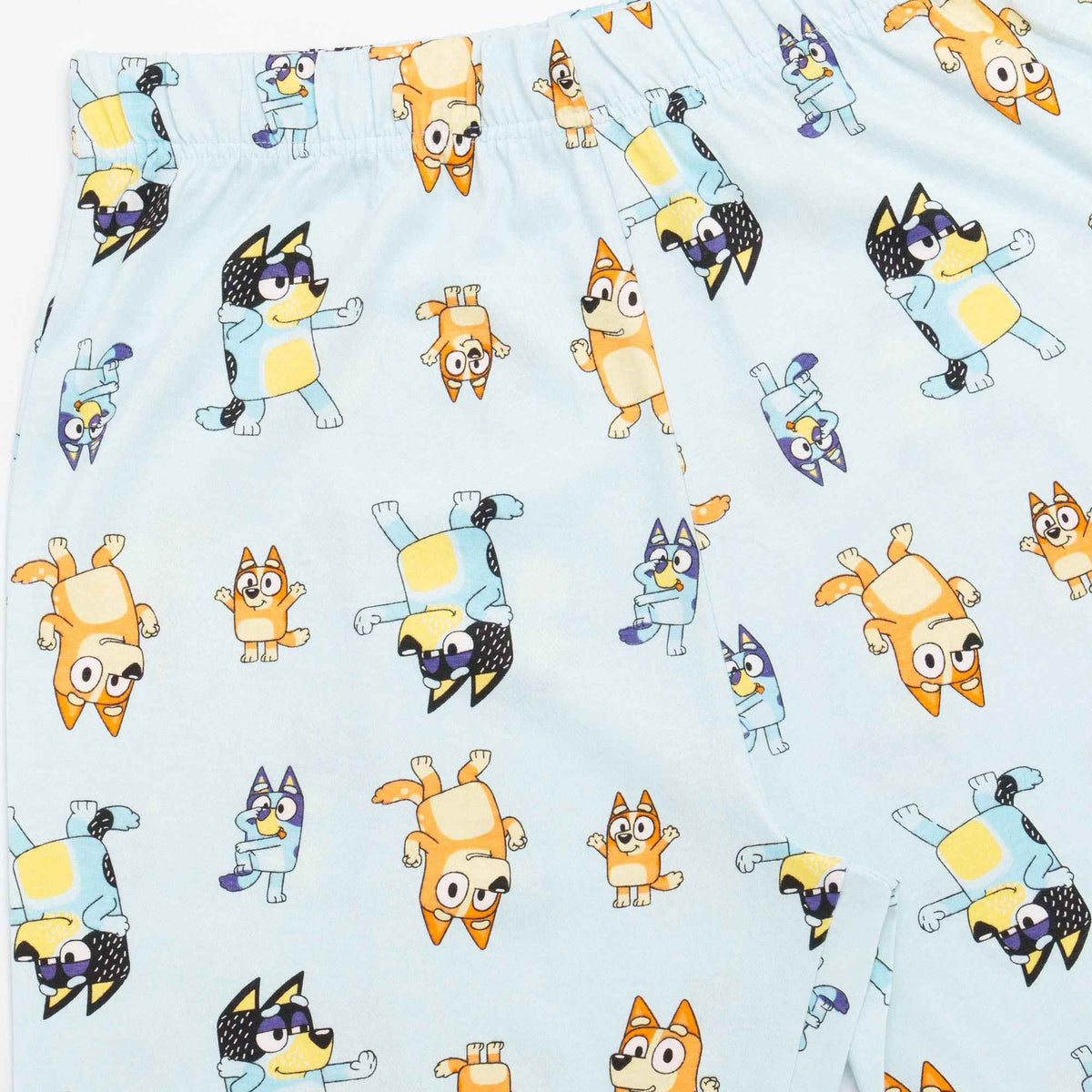 Bluey &