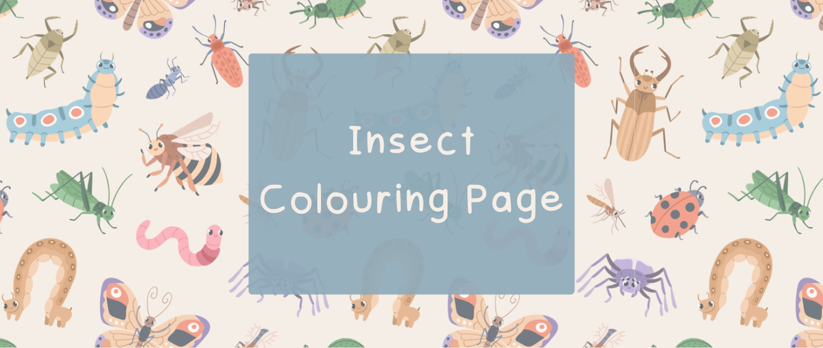Insect Colouring Page - Roy's Boys