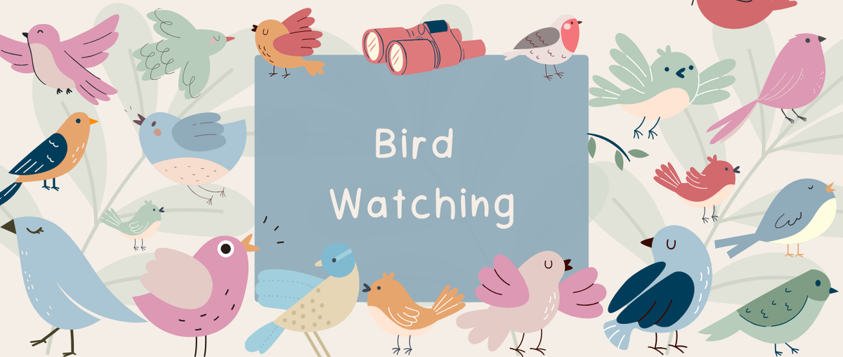 Bird Watching - Roy's Boys