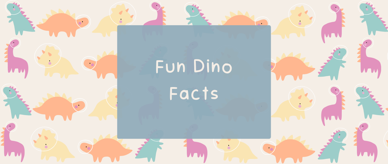 Personalised Dinosaur Kids T-Shirt: Fun Dino Facts