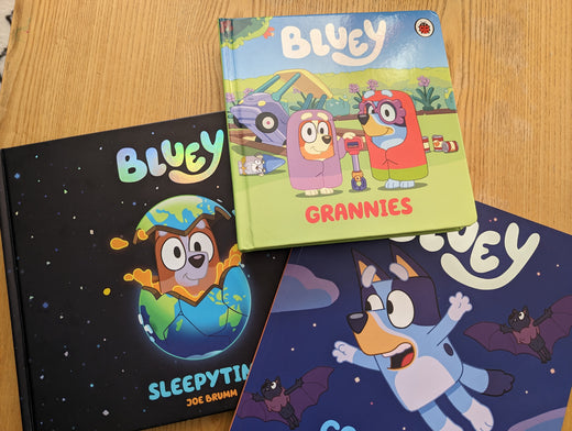 Finding Accessible Picture Books - Roy's Boys
