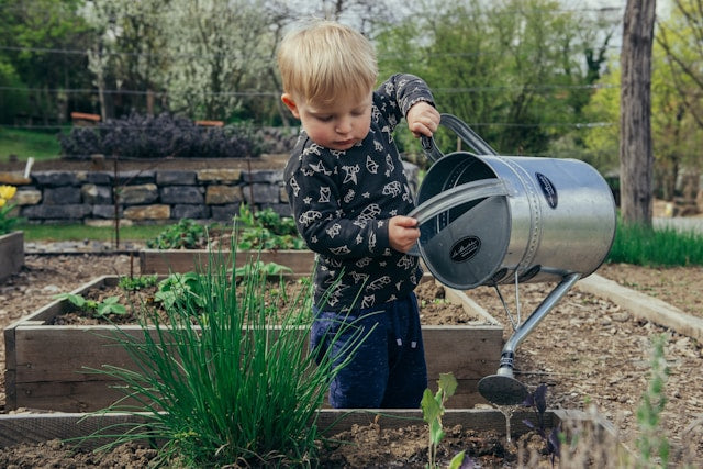 1000 trees planted with Ecologi! - Roy's Boys