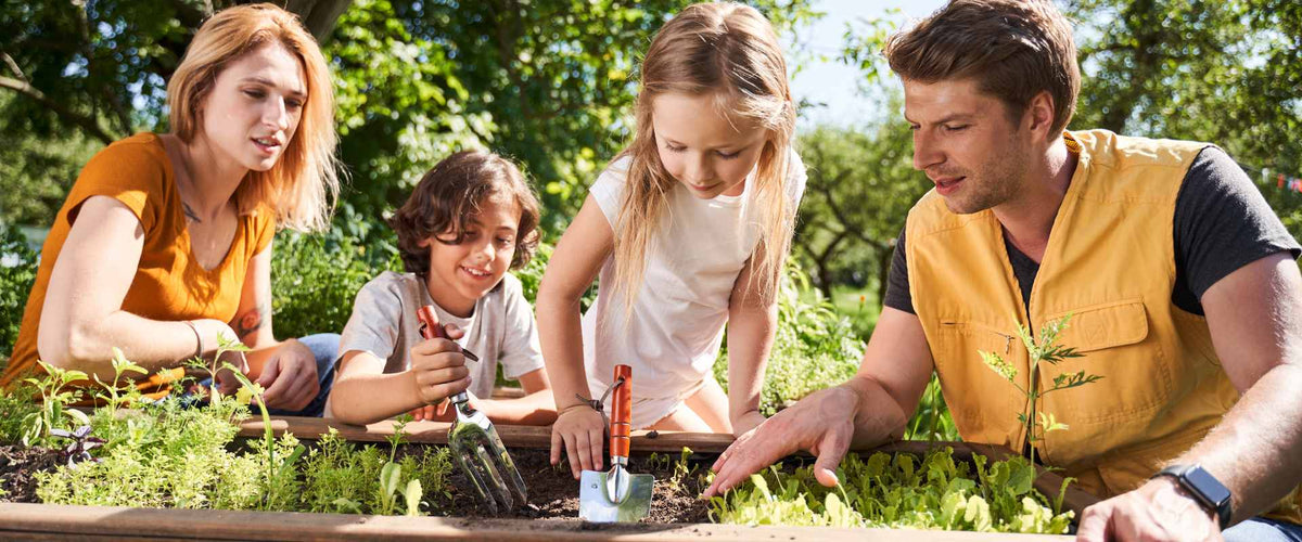Teaching Them Young: Gardening With Kids | Kids Activity - Roy's Boys