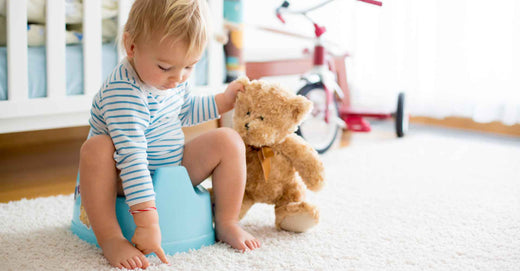How To Potty Train Your Child: Tips For Parents - Roy's Boys