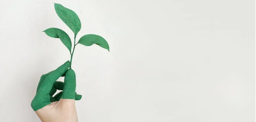 What Is Sustainability And Eco-Fashion? - Roy's Boys