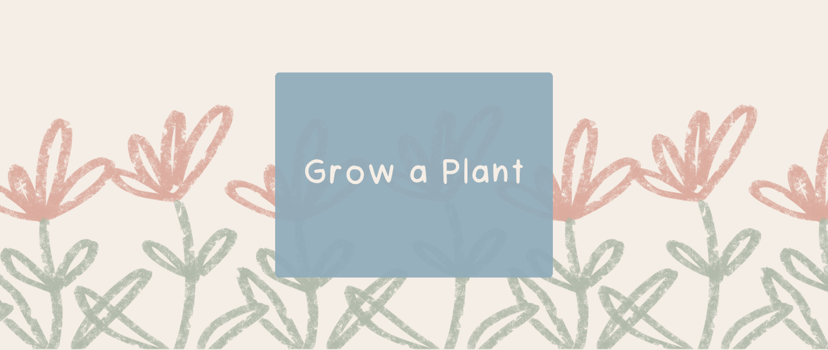Grow a Plant | Kids Activity - Roy's Boys