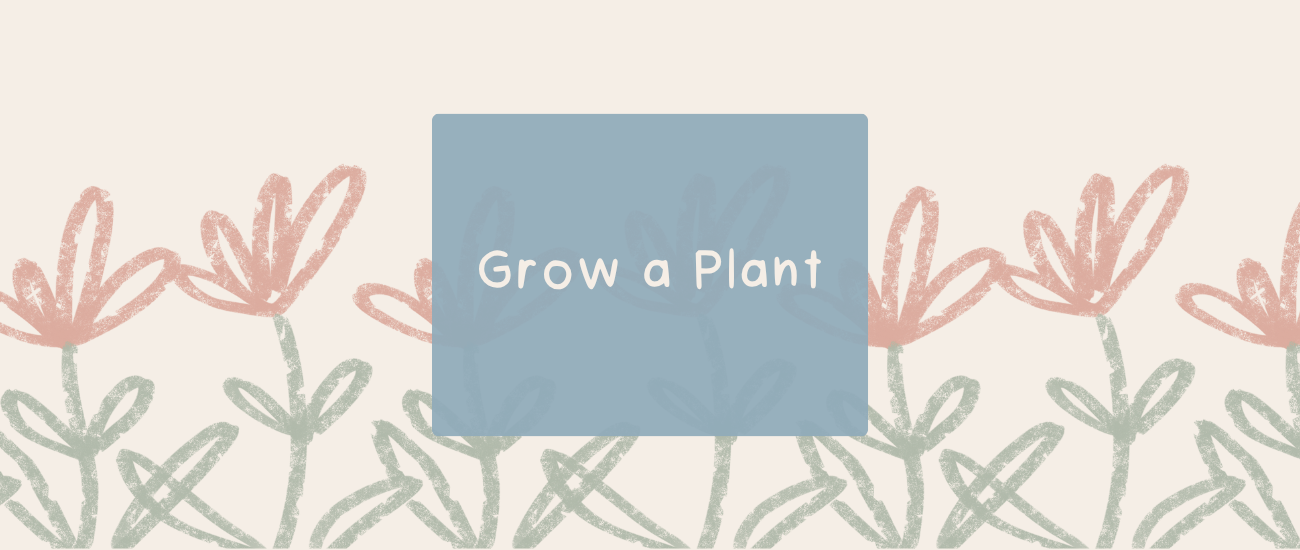 Grow a Plant | Kids Activity