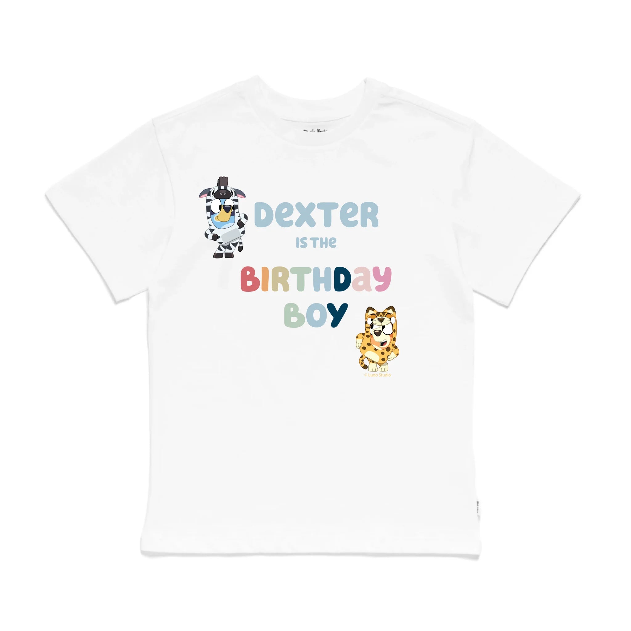 Roys Boys White T-Shirt Imagery_0009_Older Kids Front
