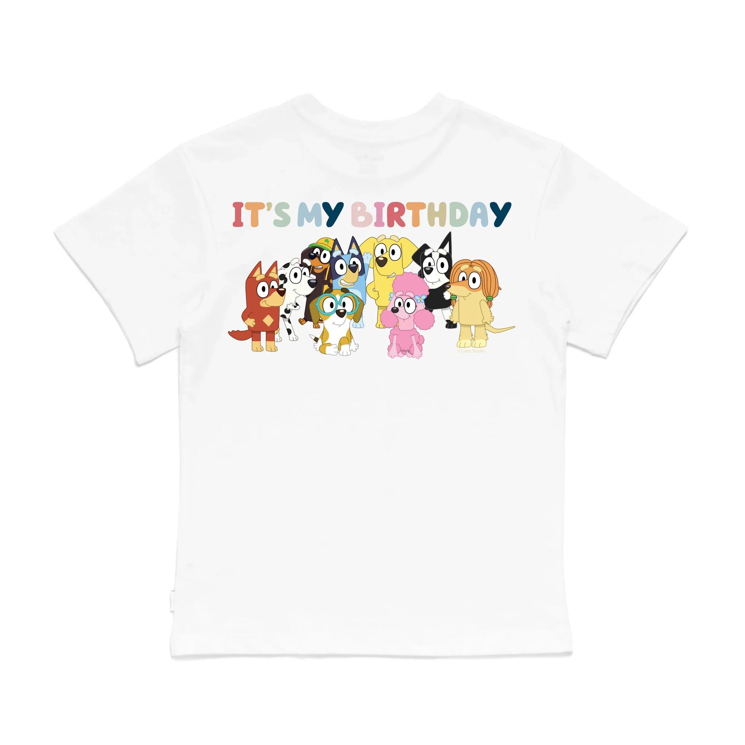 Roys Boys White T-Shirt Imagery_0008_Older Kids Back