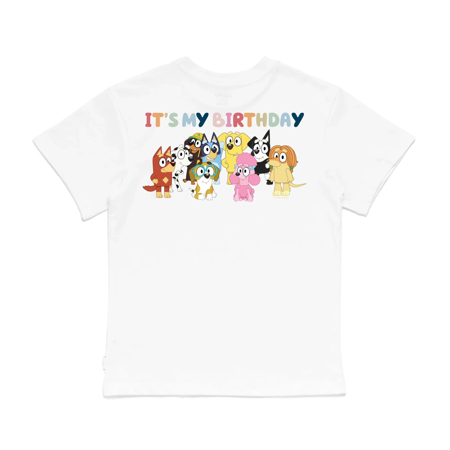 Personalised Bluey Birthday Girl Kids&