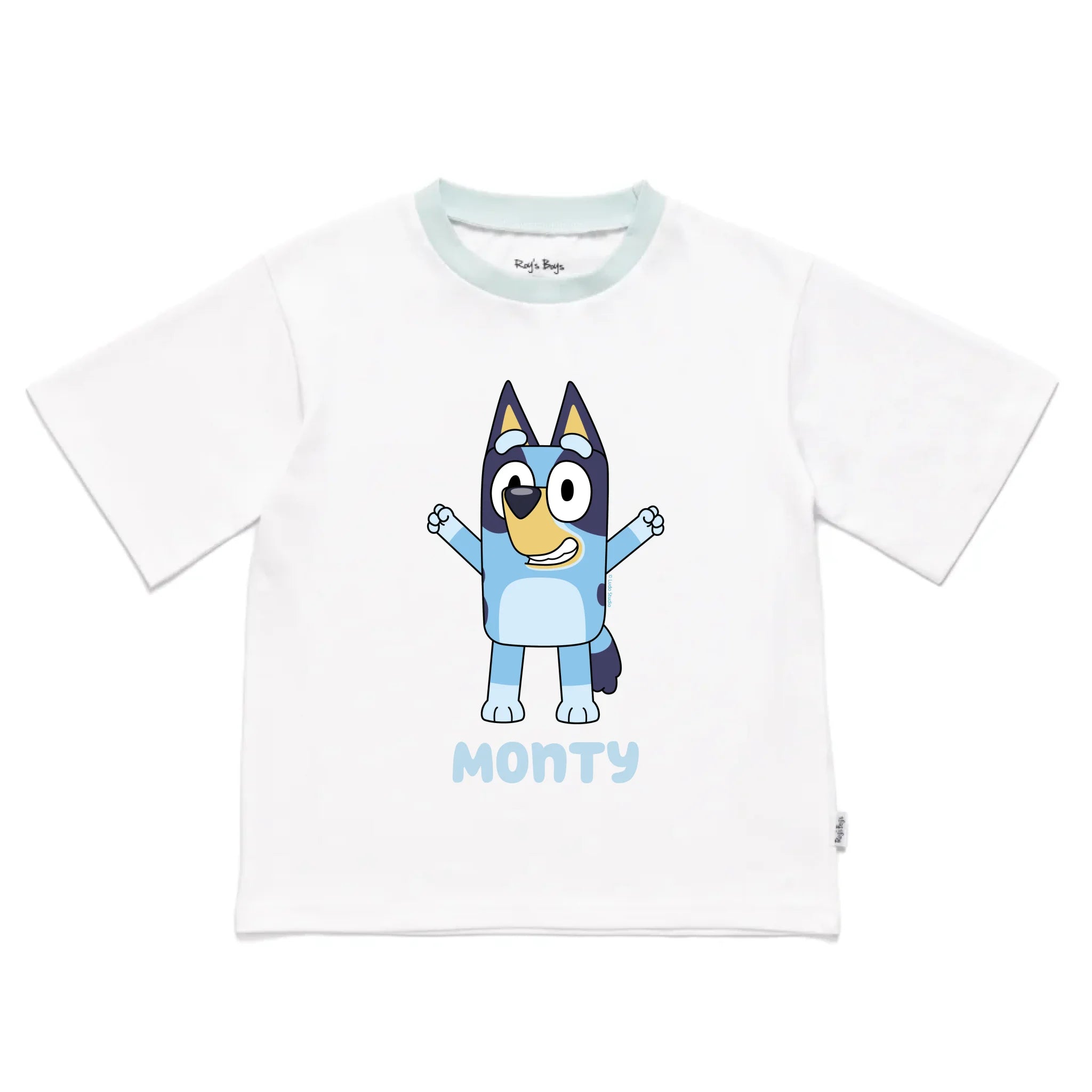 Roys_Boys_Pyjamas_Blank_Short_Sleeve_Tee_front