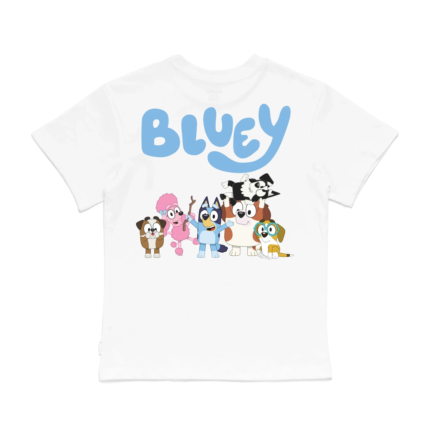 Personalised Bluey Toys Kids&