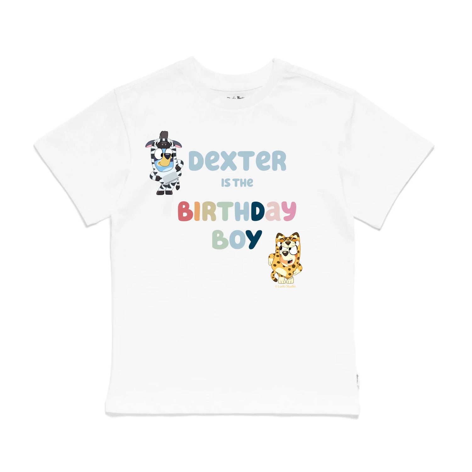Roys Boys White T-Shirt Imagery_0009_Older Kids Front