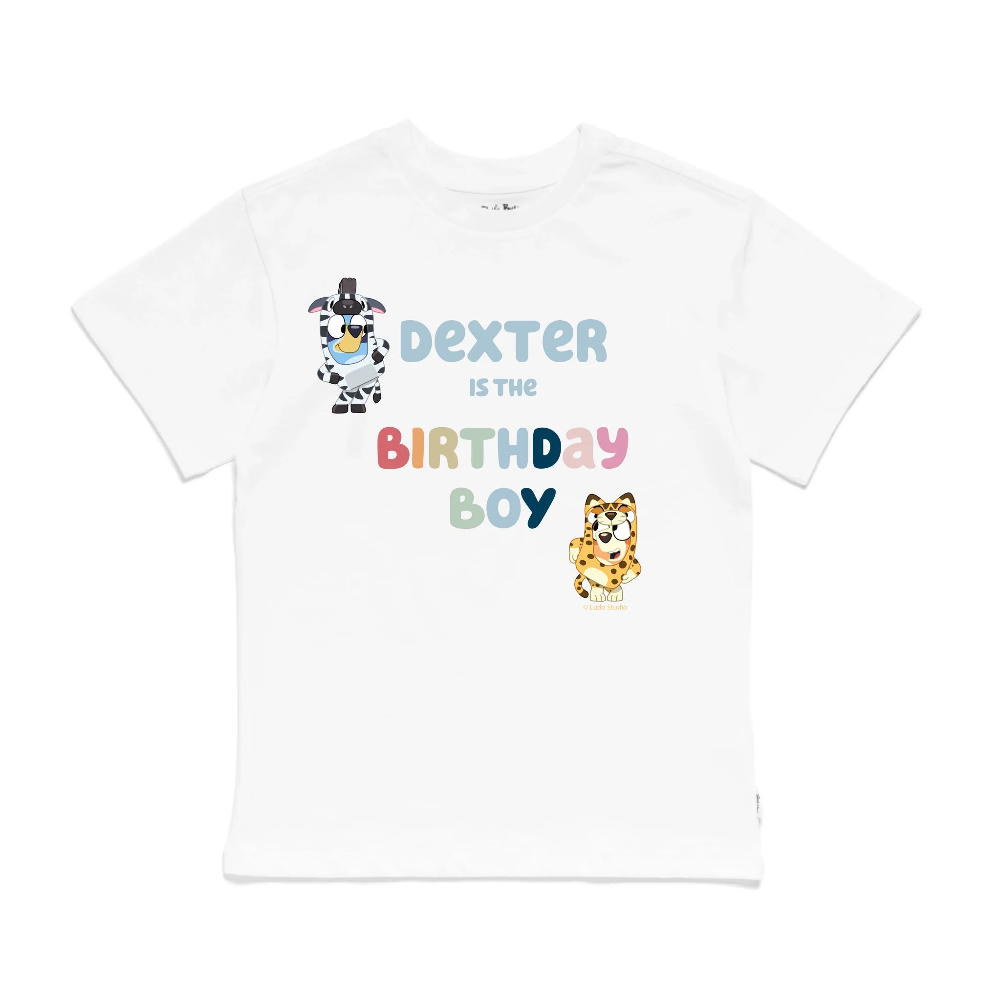 Roys Boys White T-Shirt Imagery_0009_Older Kids Front