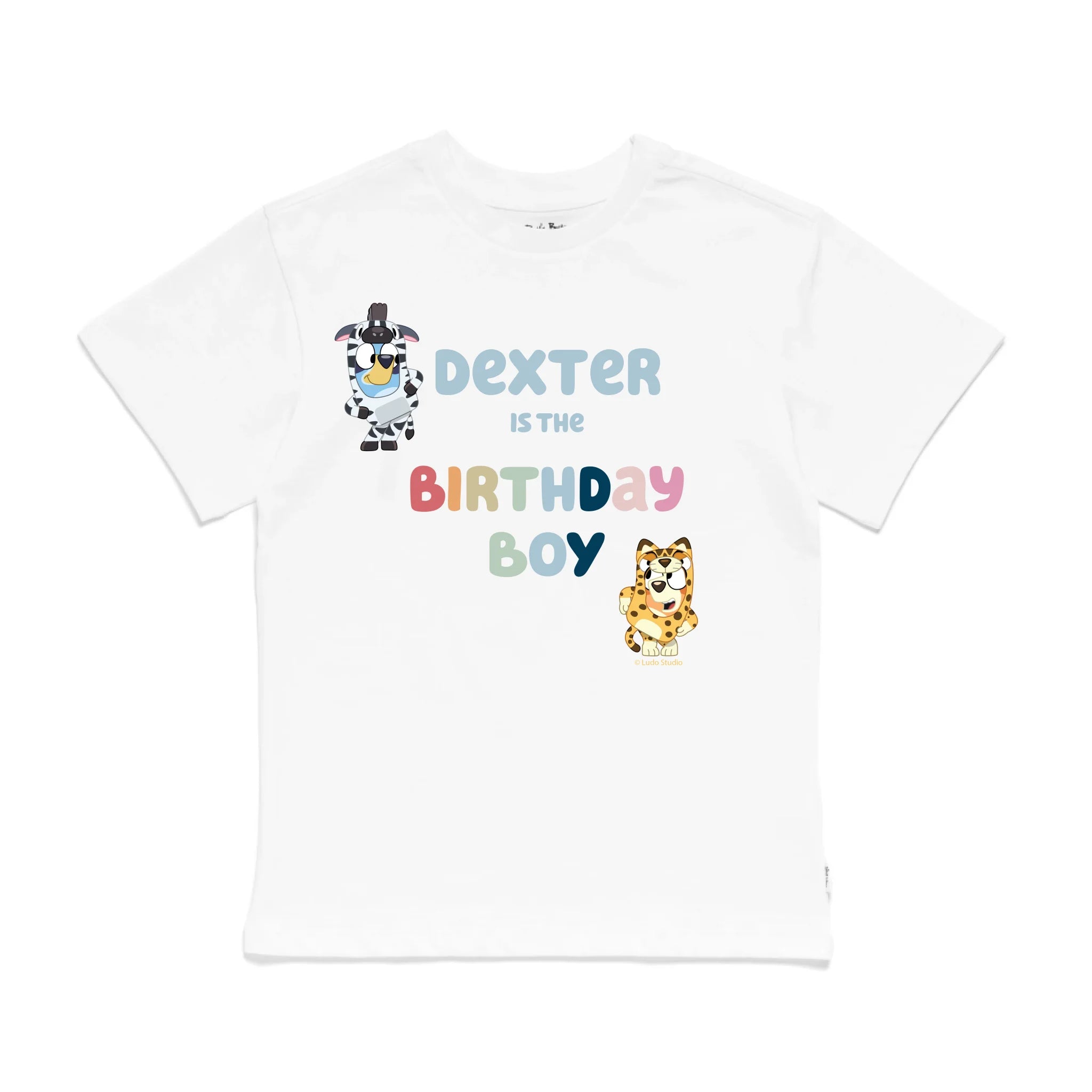 Personalised Bluey Birthday Boy Kids&