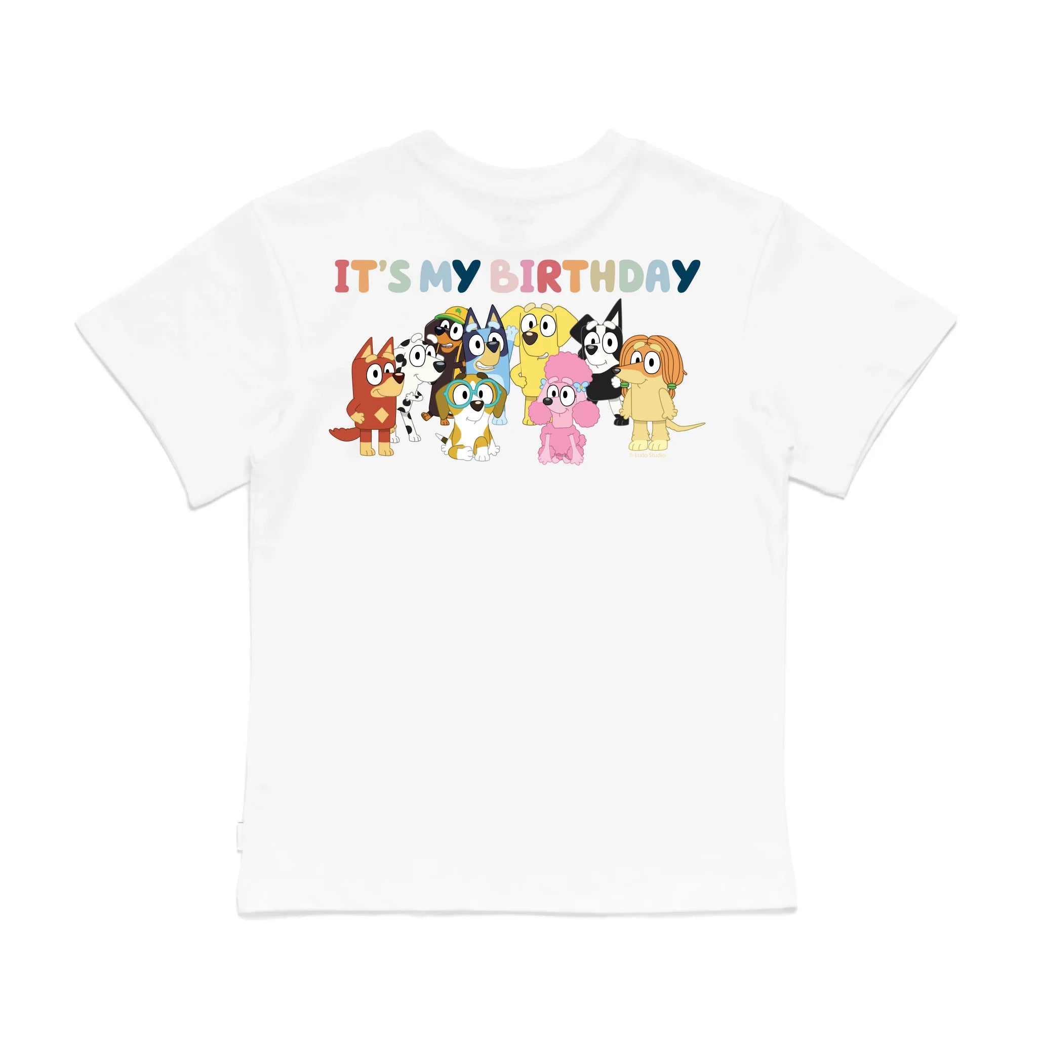 Personalised Bluey Birthday Boy Kids&