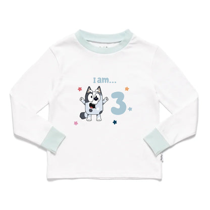 Roys_Boys_Pyjamas_Blank_Long_Sleeve_Tee_front 2