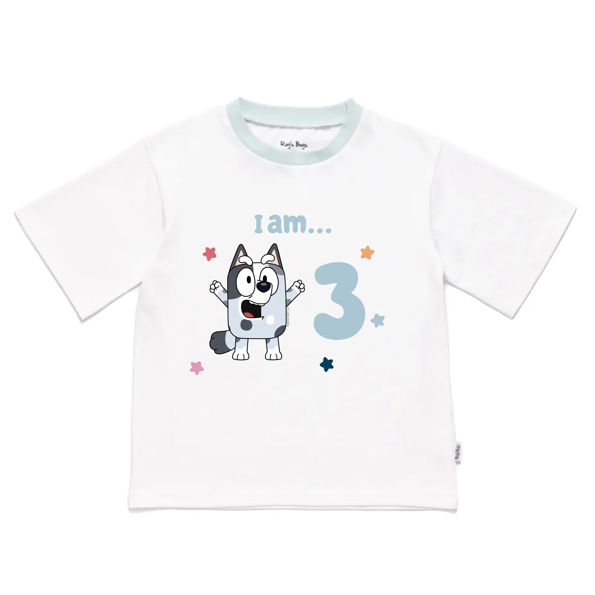 Roys_Boys_Pyjamas_Blank_Short_Sleeve_Tee_front