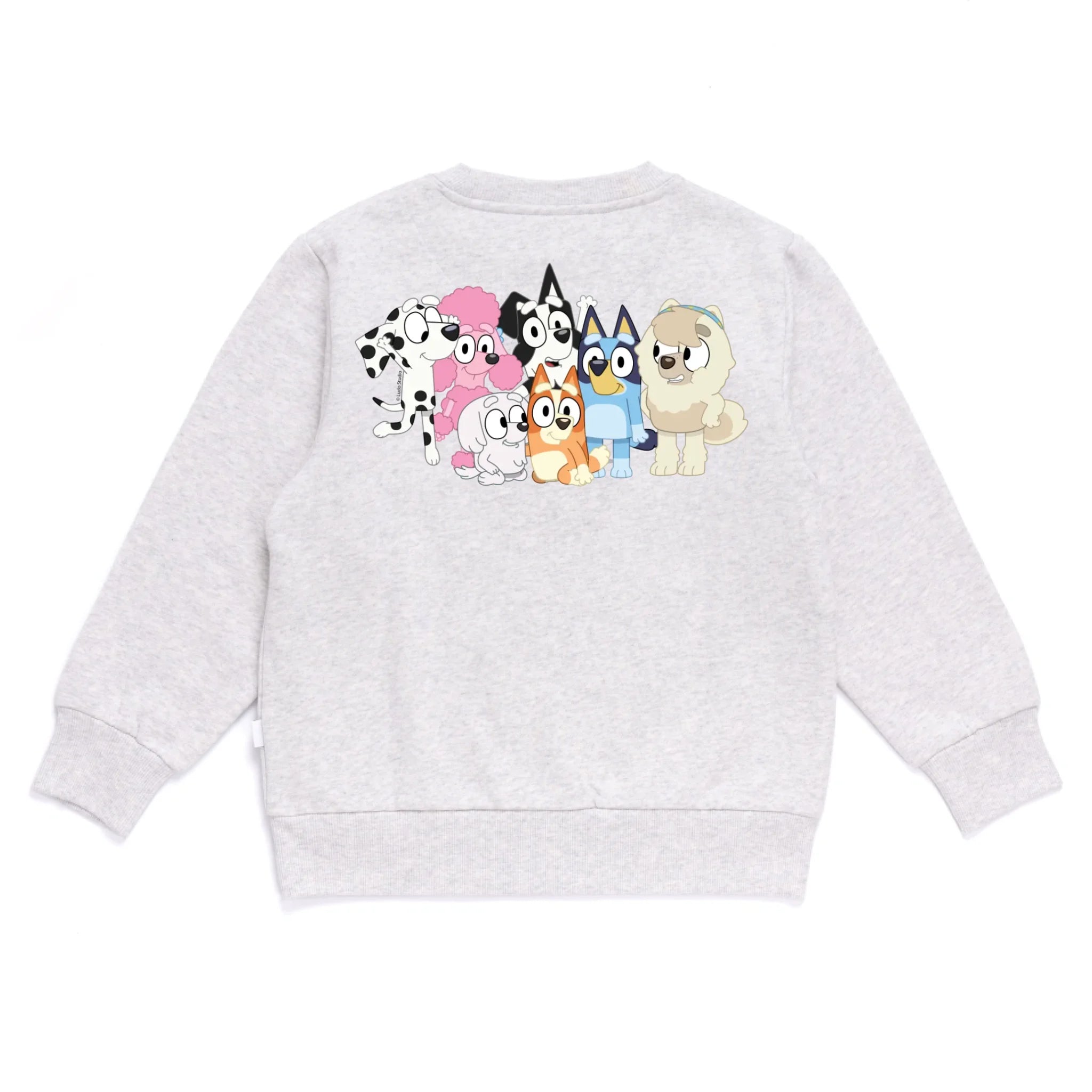 Personalised Bluey Kids&