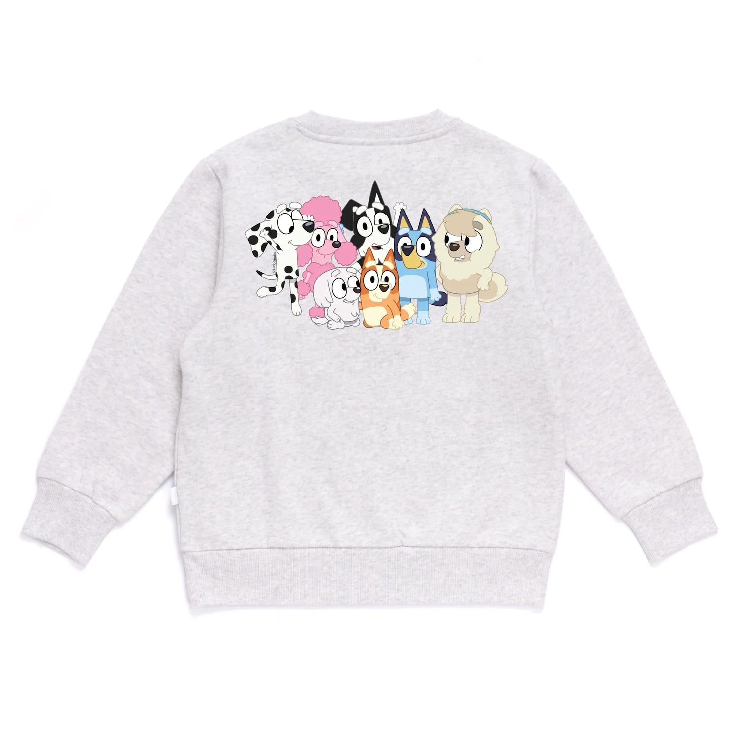 Personalised Bluey Kids&