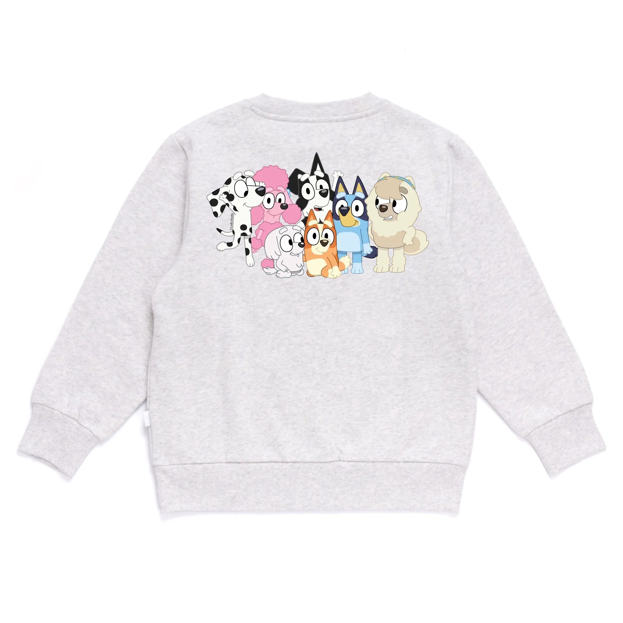 Personalised Bluey Kids&