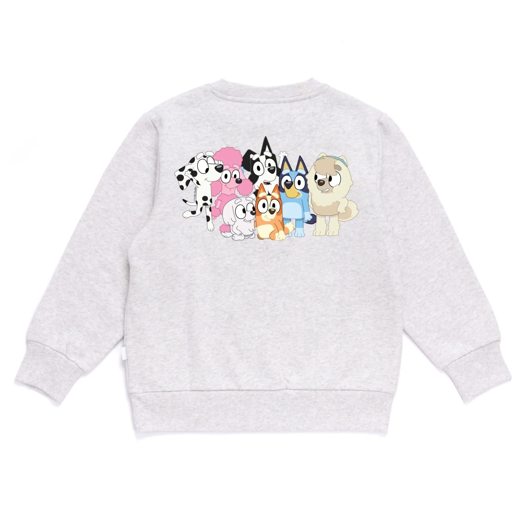 Personalised Bluey Kids&