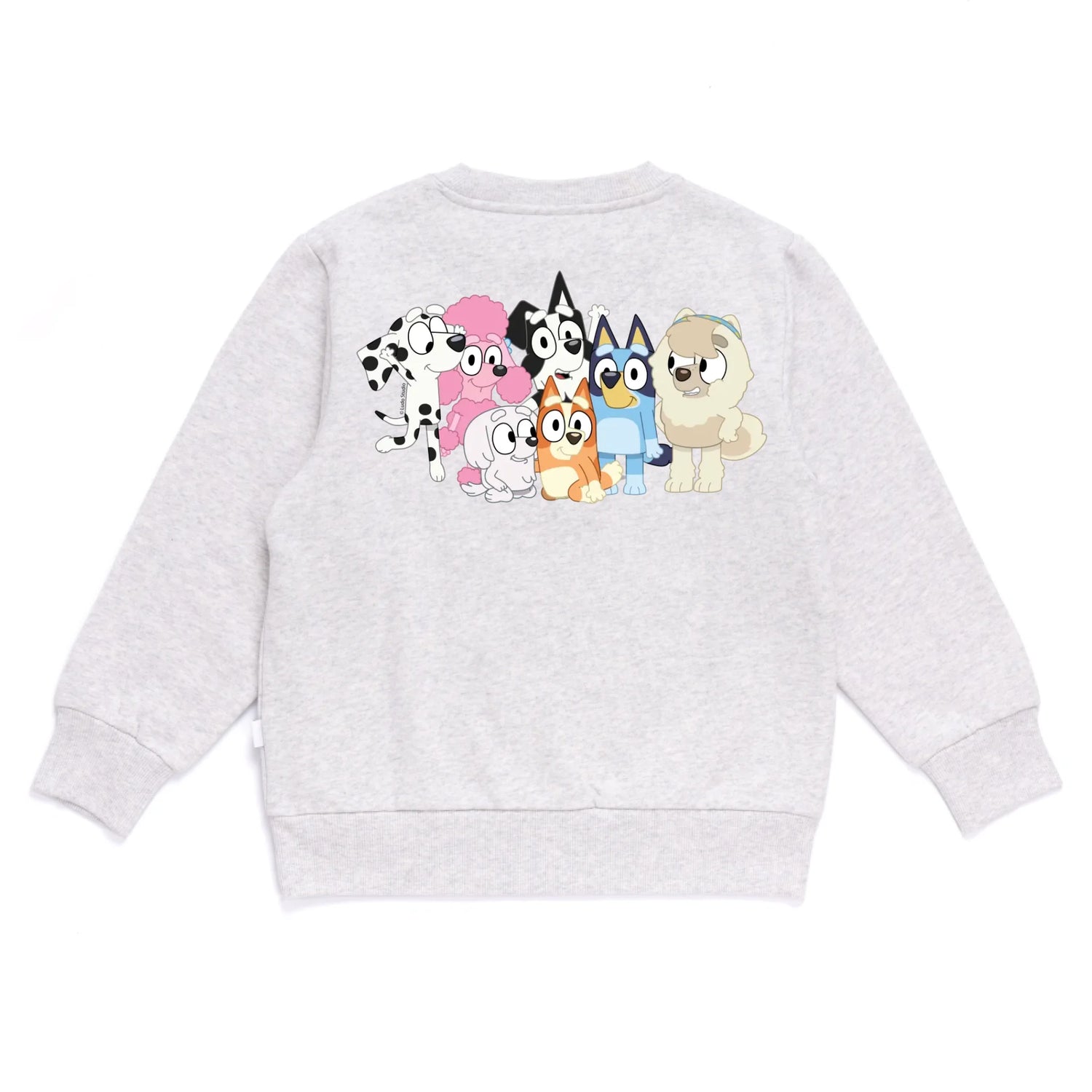 Personalised Bluey Kids&