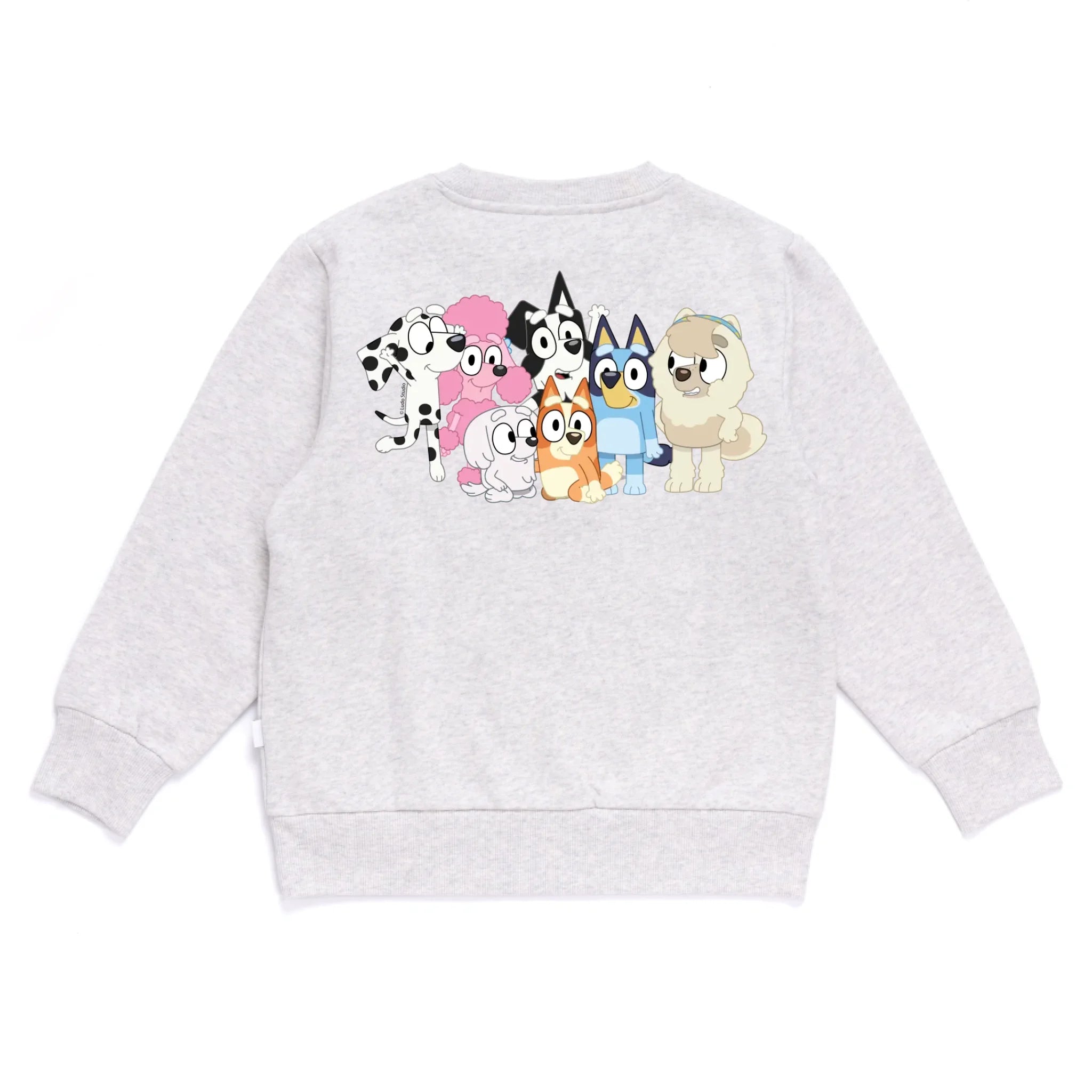 Personalised Bluey Kids&