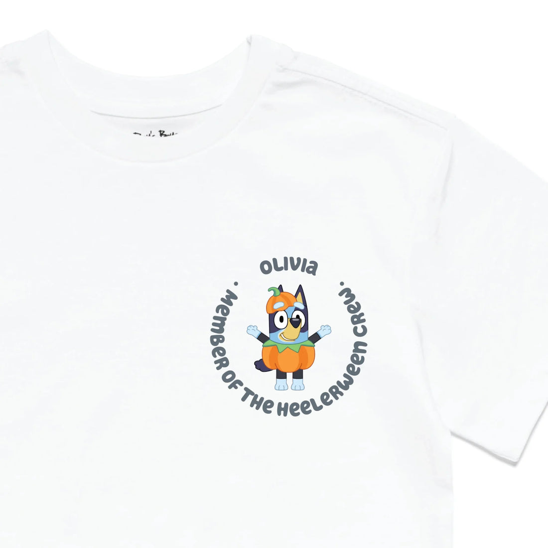 Roys Boys White T-Shirt Imagery_0010_Older Kids Front Zoomed In-01