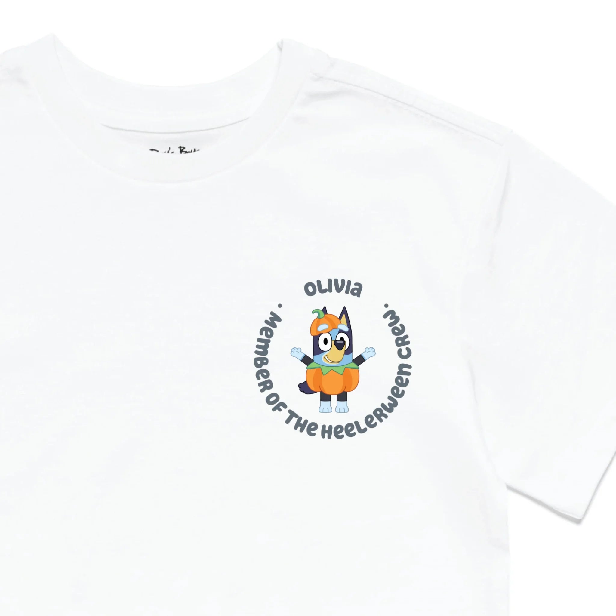 Roys Boys White T-Shirt Imagery_0010_Older Kids Front Zoomed In-01