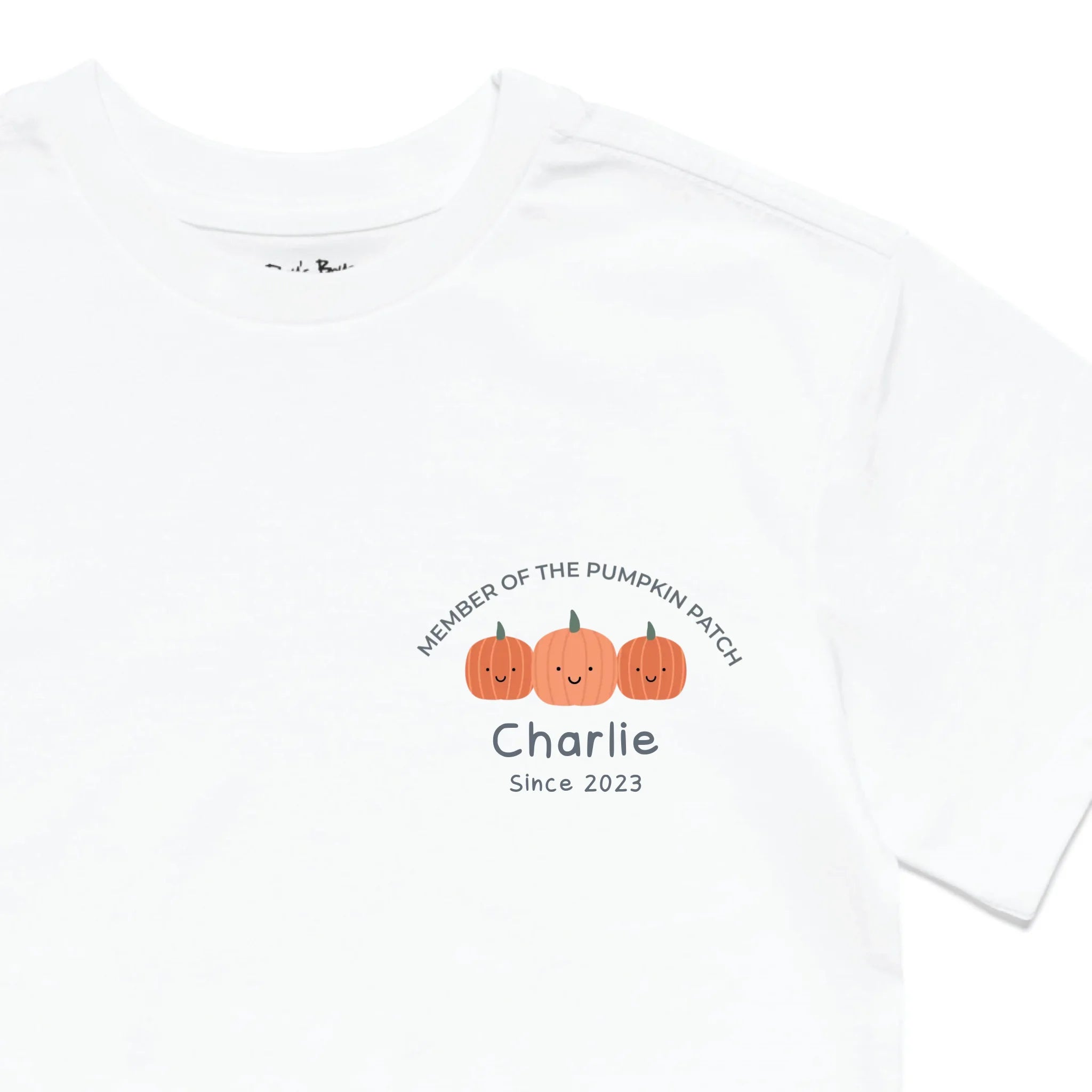 Roys Boys White T-Shirt Imagery_0010_Older Kids Front Zoomed In-01