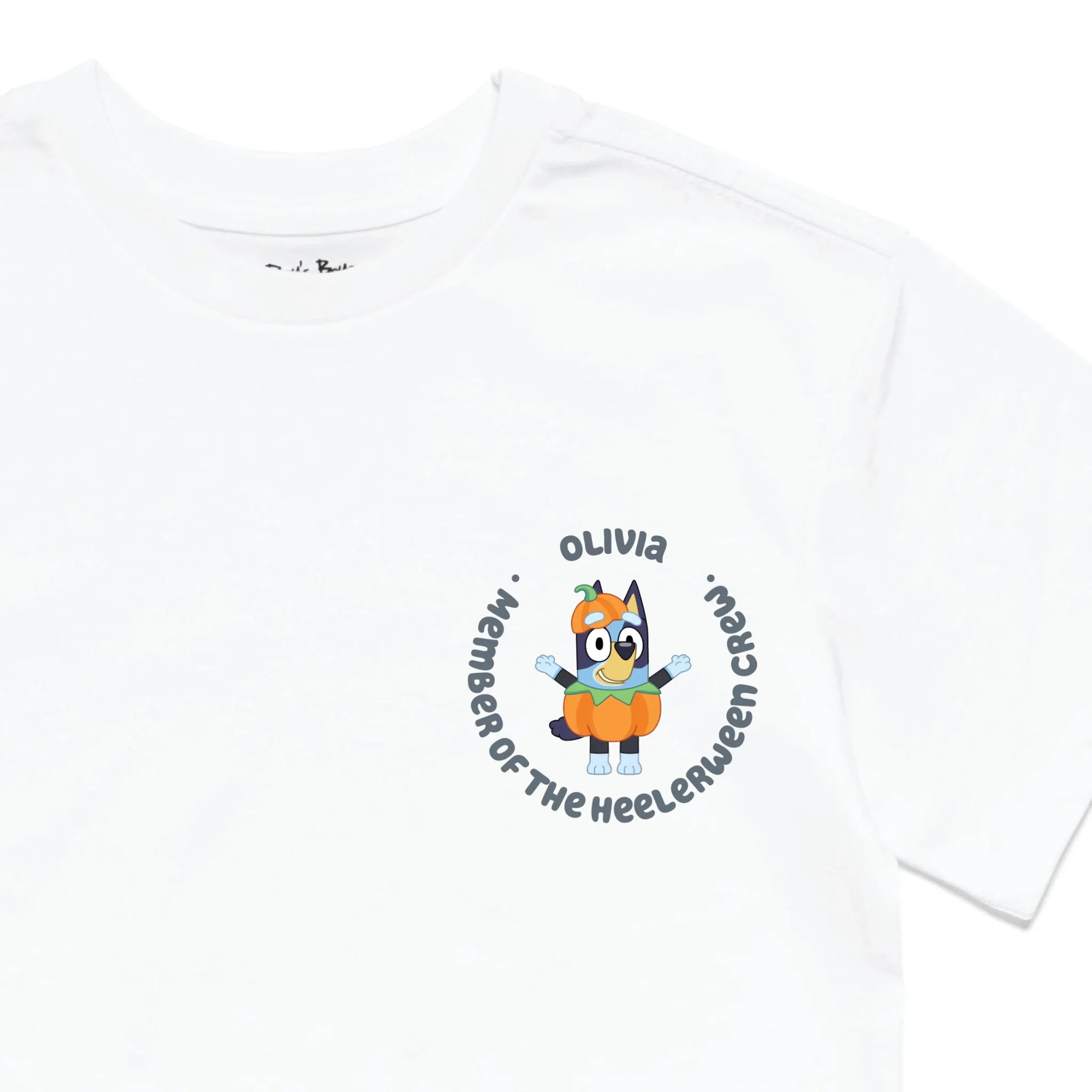 Roys Boys White T-Shirt Imagery_0010_Older Kids Front Zoomed In-01