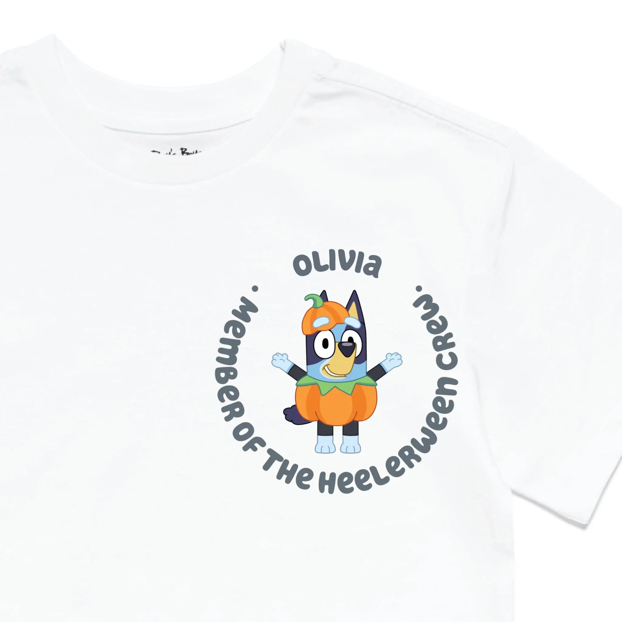 Roys Boys White T-Shirt Imagery_0010_Older Kids Front Zoomed In-01