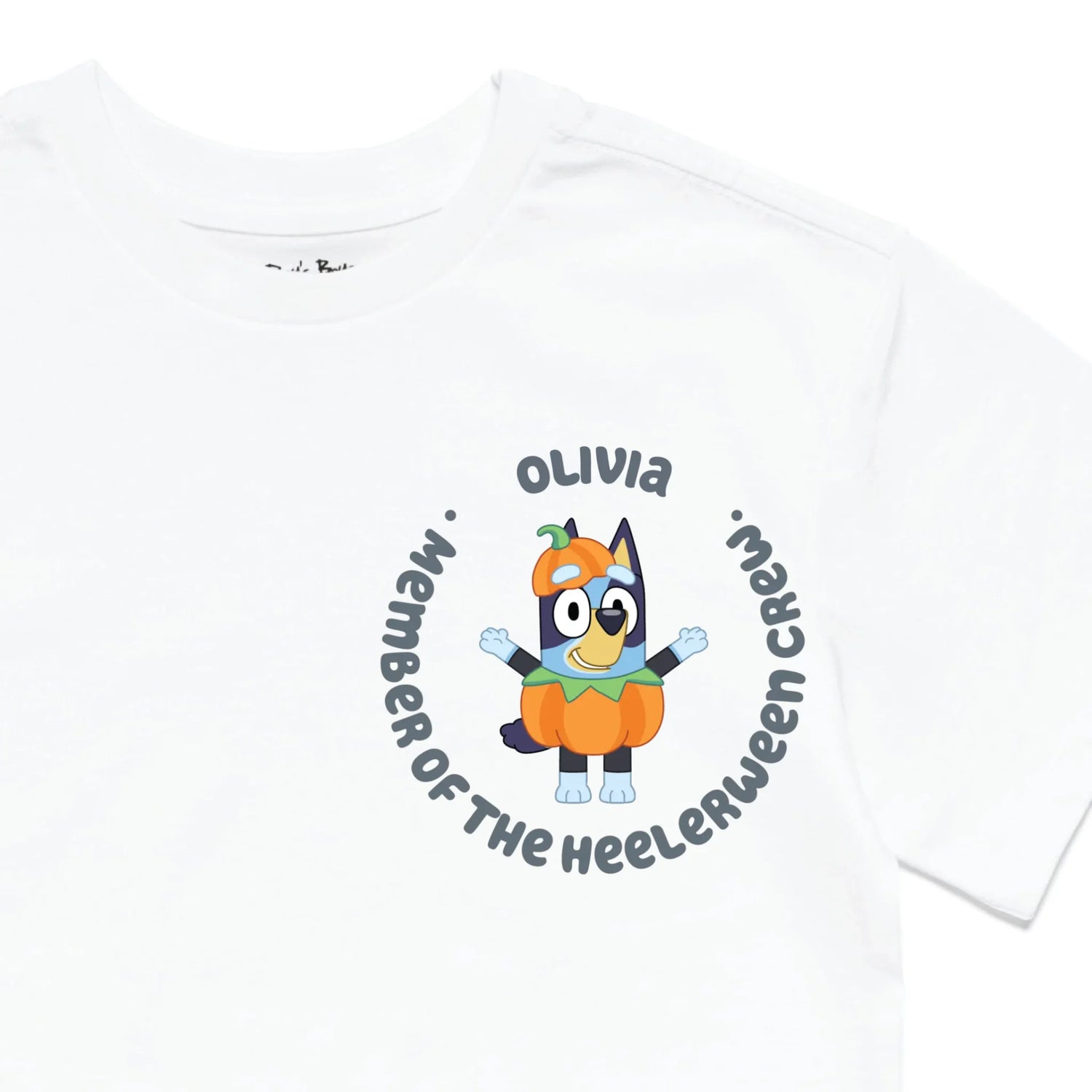 Roys Boys White T-Shirt Imagery_0010_Older Kids Front Zoomed In-01