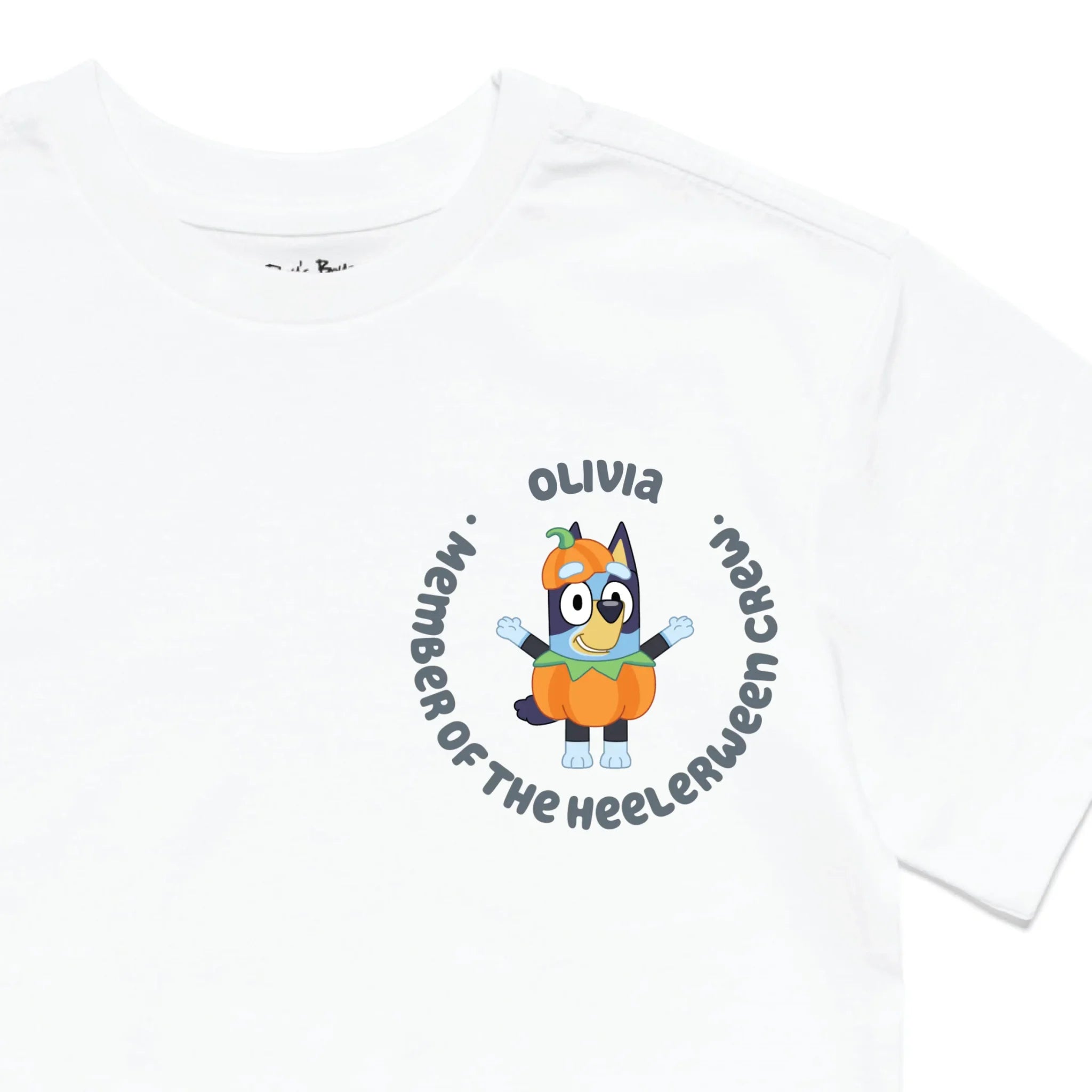 Roys Boys White T-Shirt Imagery_0010_Older Kids Front Zoomed In-01