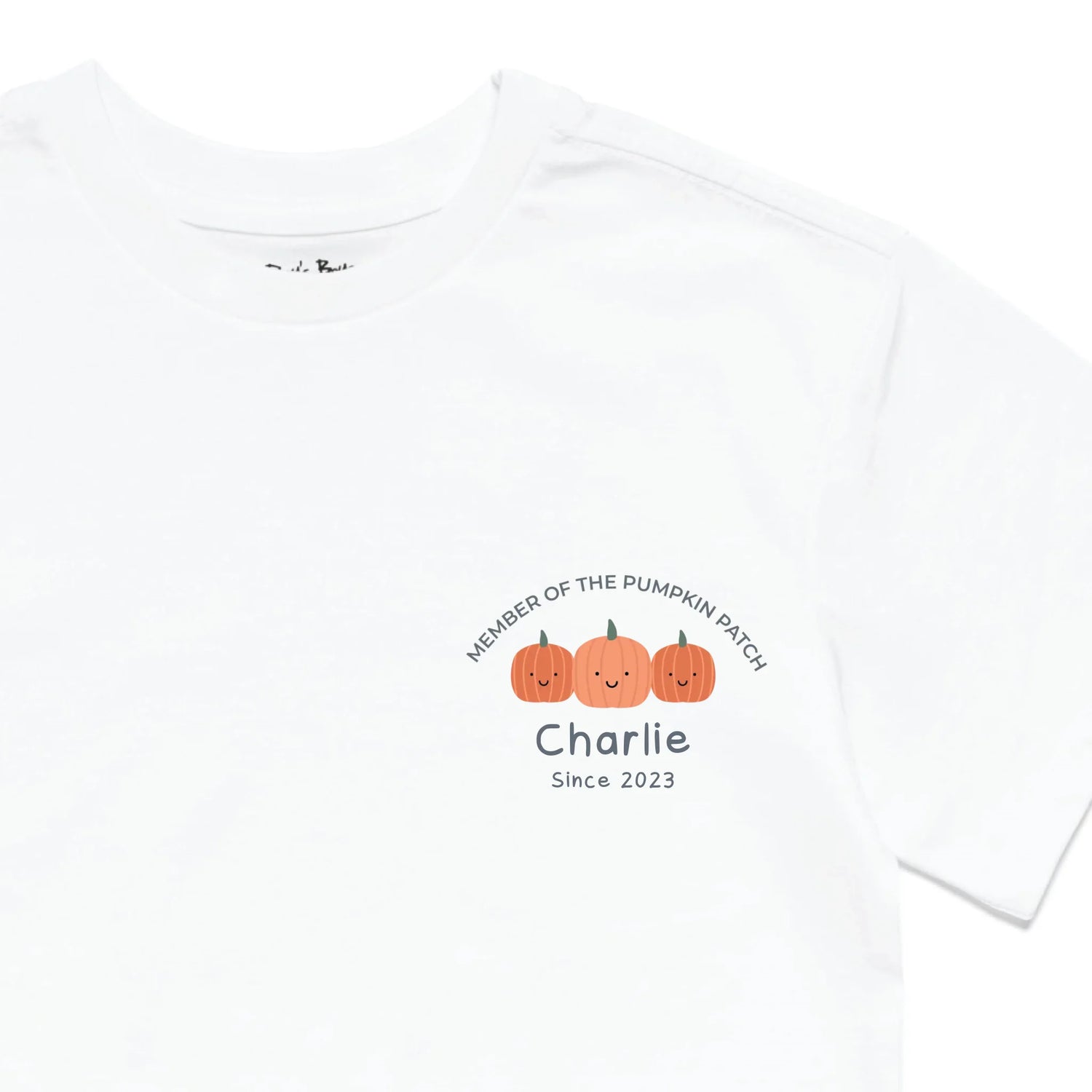 Roys Boys White T-Shirt Imagery_0010_Older Kids Front Zoomed In-01